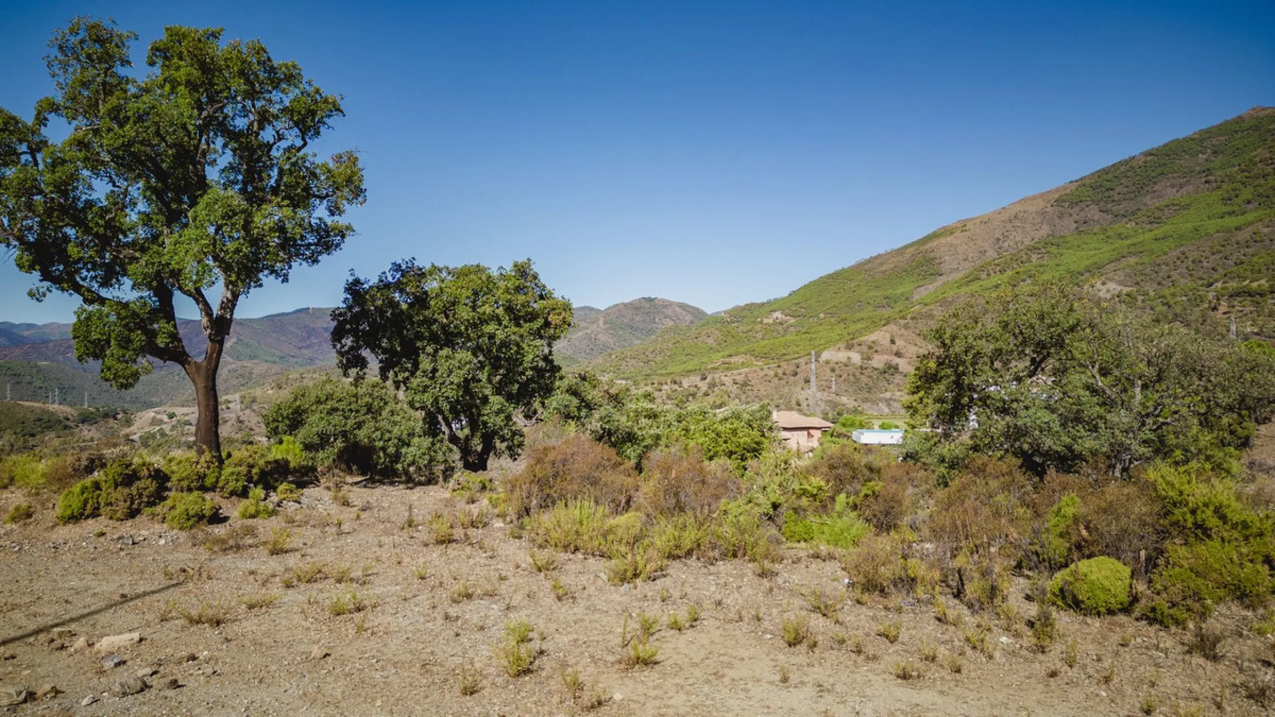West facing plot of 3941m2 very close to the North entrance of La Zagaleta with views to the beautiful green nature and impressive mountains. Here you can build your dream home in a super secure community (24h armed security) with 2 private 18-hole golf c