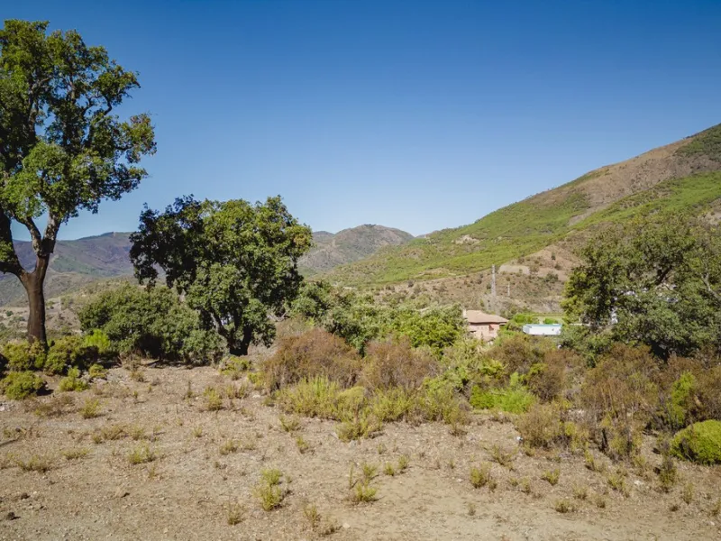 West facing plot of 3941m2 very close to the North entrance of La Zagaleta with views to the beautiful green nature and impressive mountains. Here you can build your dream home in a super secure community (24h armed security) with 2 private 18-hole golf c