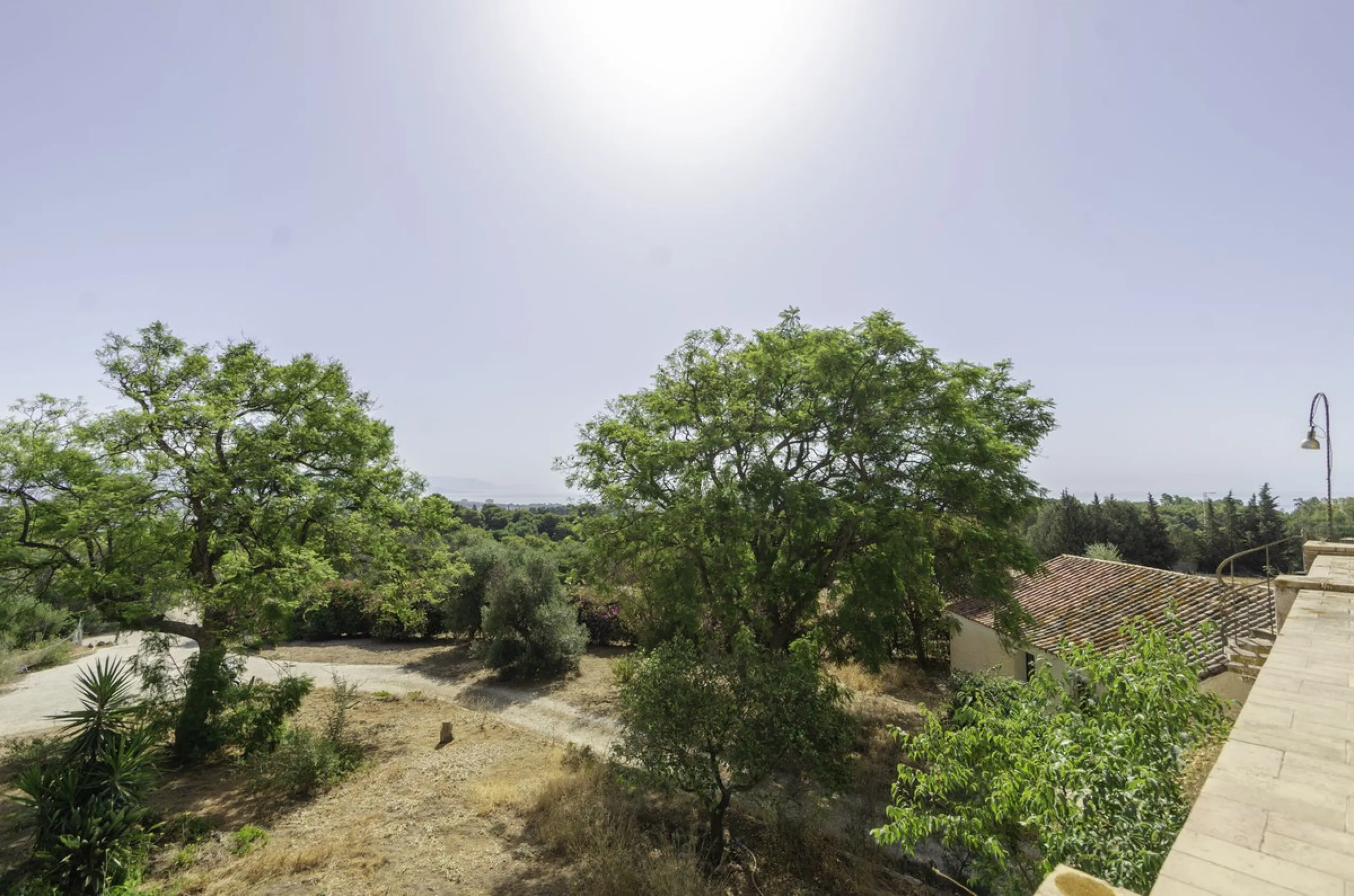 "Finca El Coronel", with an area of ​​64,735 m2, is located