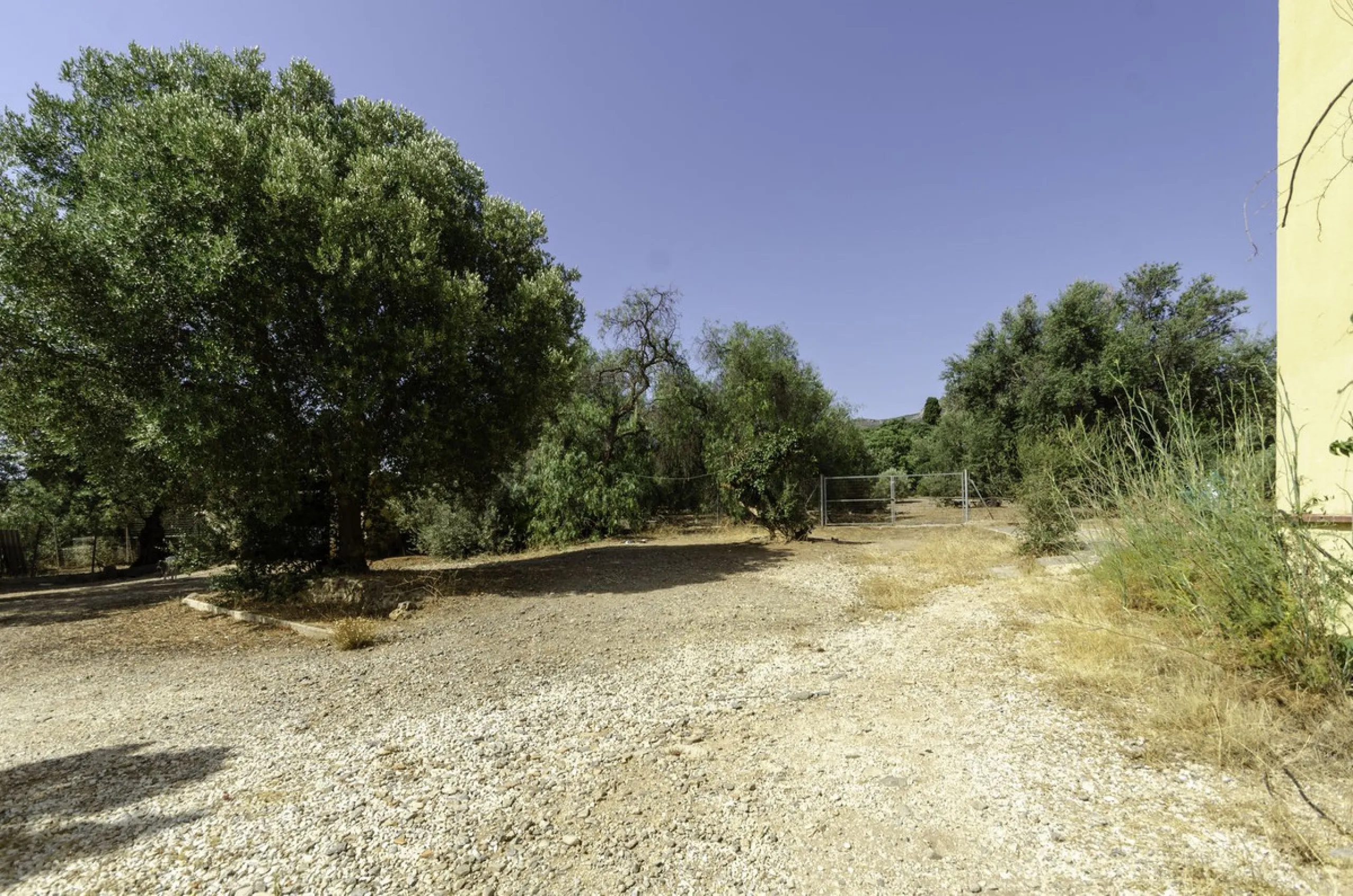 "Finca El Coronel", with an area of ​​64,735 m2, is located