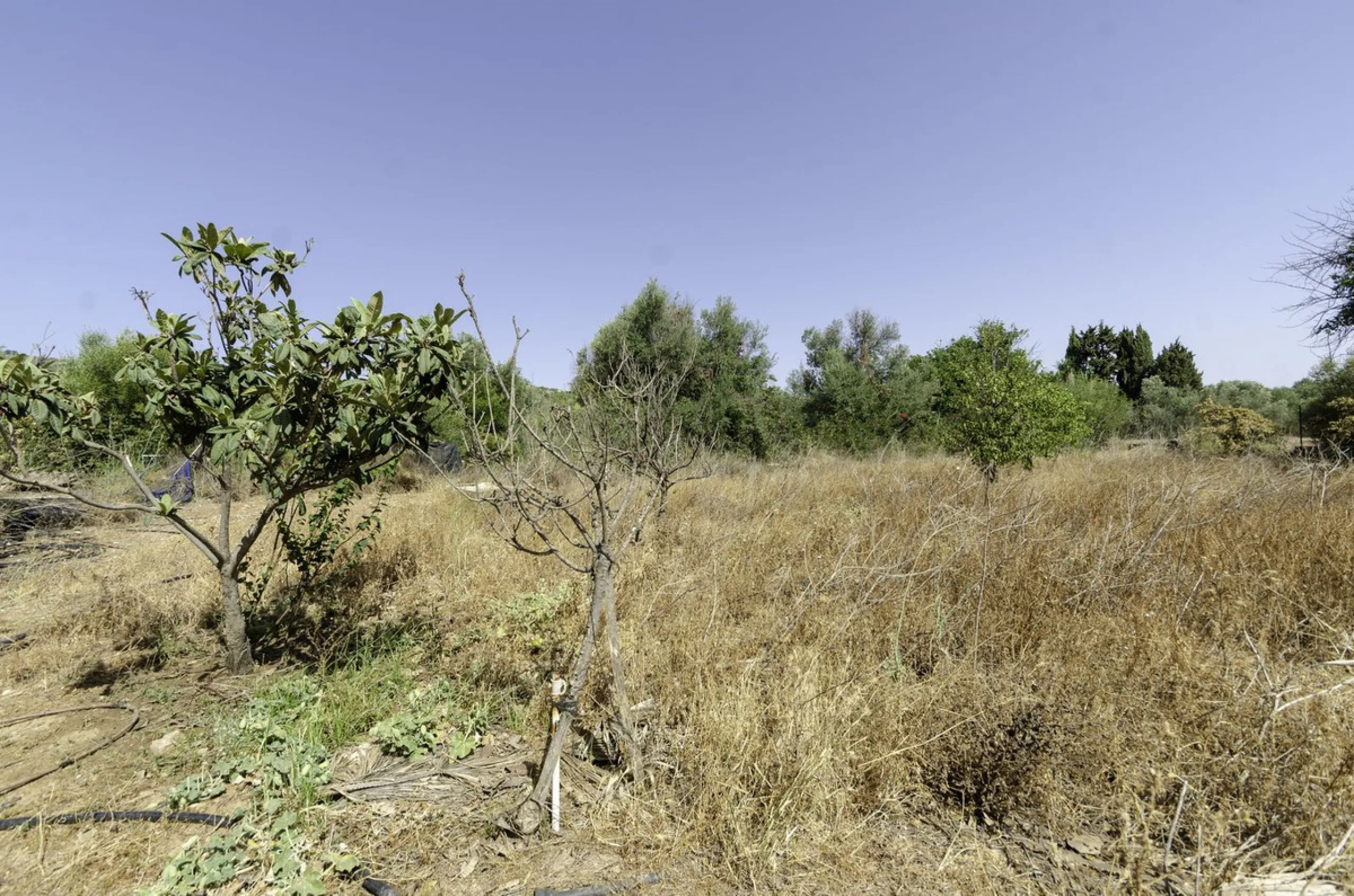 "Finca El Coronel", with an area of ​​64,735 m2, is located