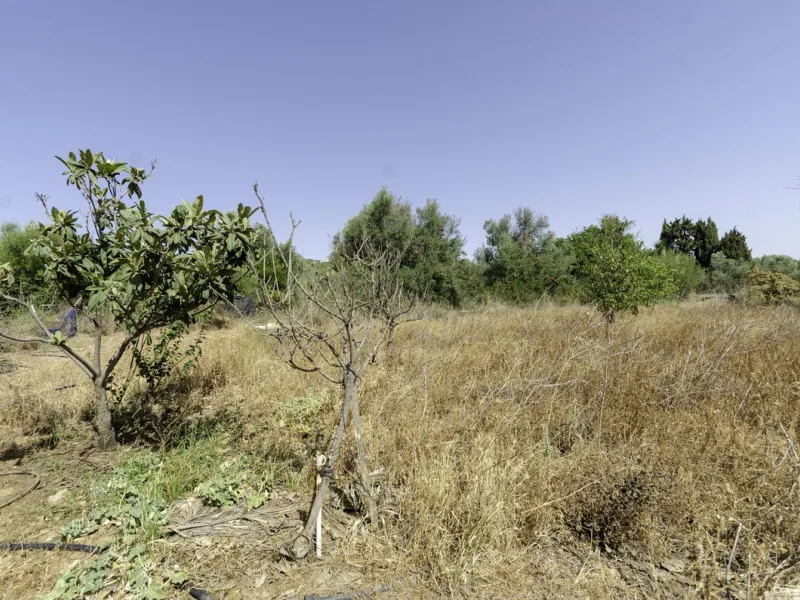 "Finca El Coronel", with an area of ​​64,735 m2, is located