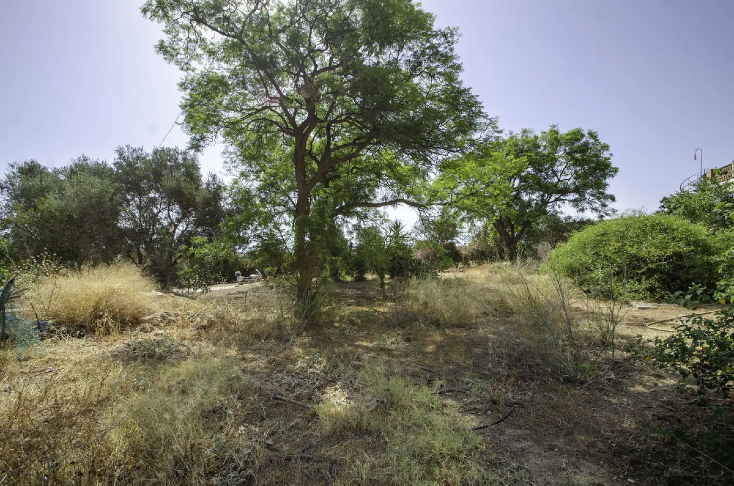 "Finca El Coronel", with an area of ​​64,735 m2, is located