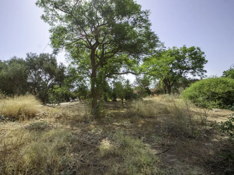 "Finca El Coronel", with an area of ​​64,735 m2, is located