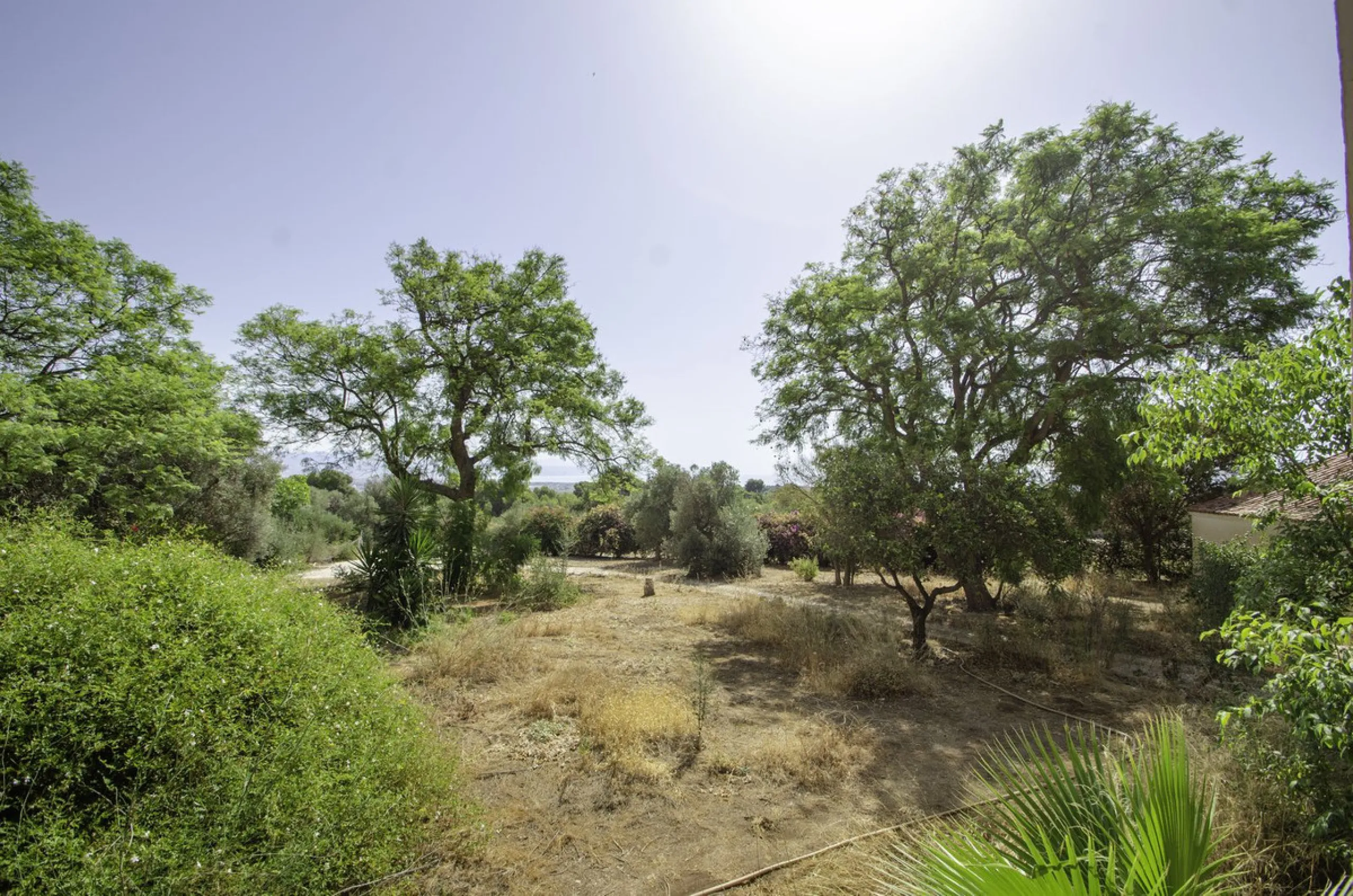 "Finca El Coronel", with an area of ​​64,735 m2, is located