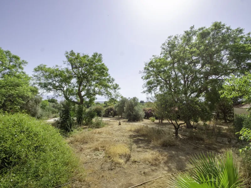 "Finca El Coronel", with an area of ​​64,735 m2, is located