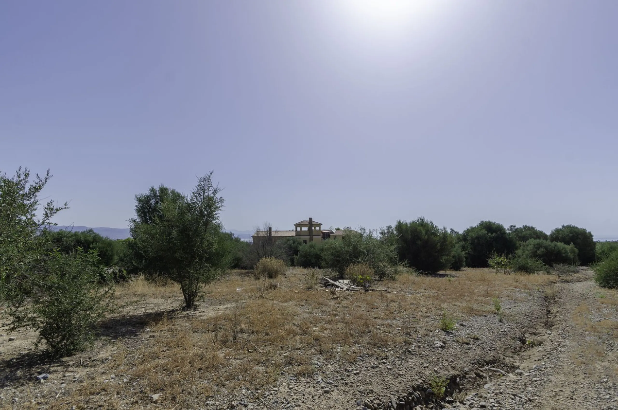 "Finca El Coronel", with an area of ​​64,735 m2, is located