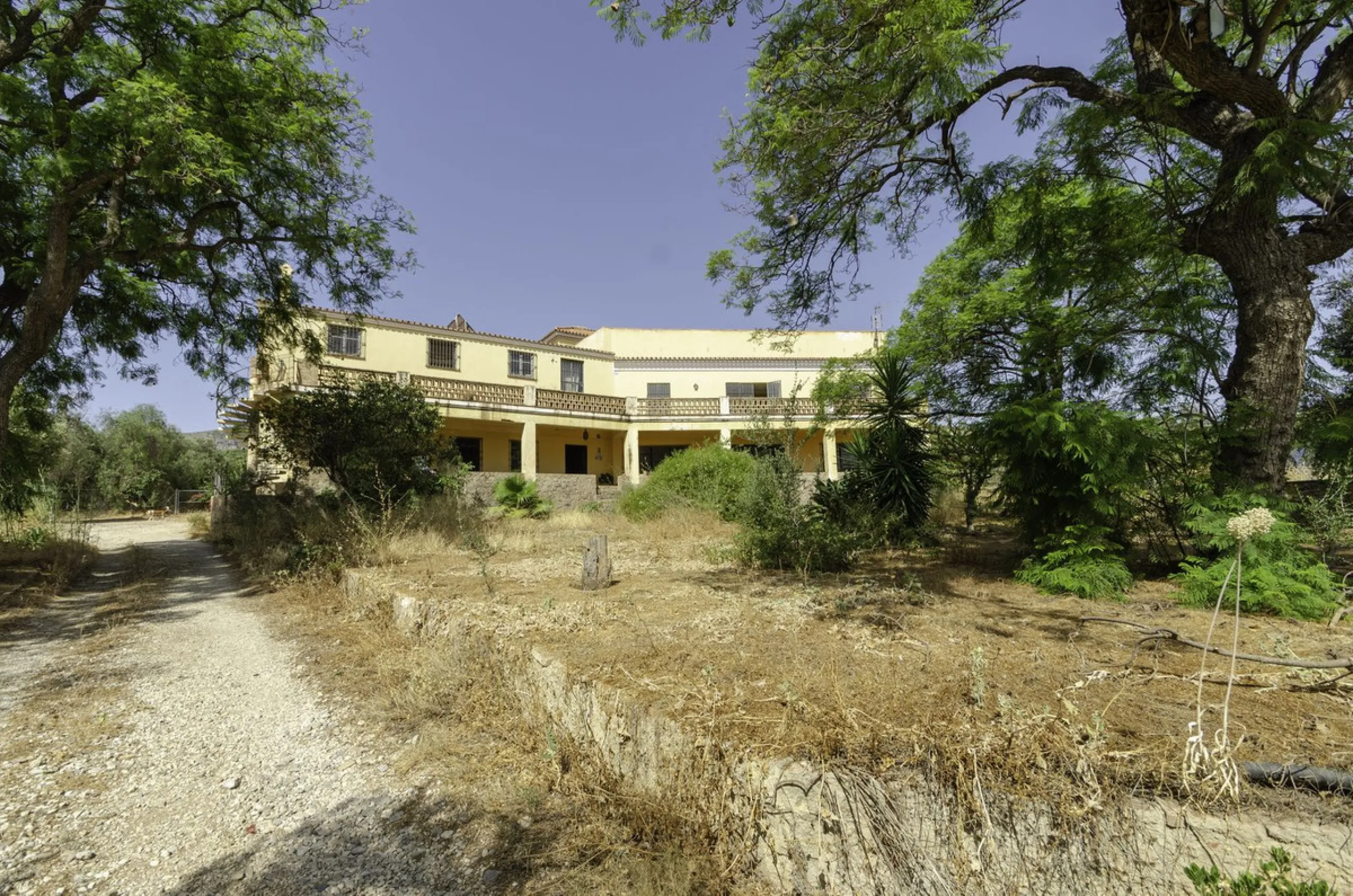 "Finca El Coronel", with an area of ​​64,735 m2, is located