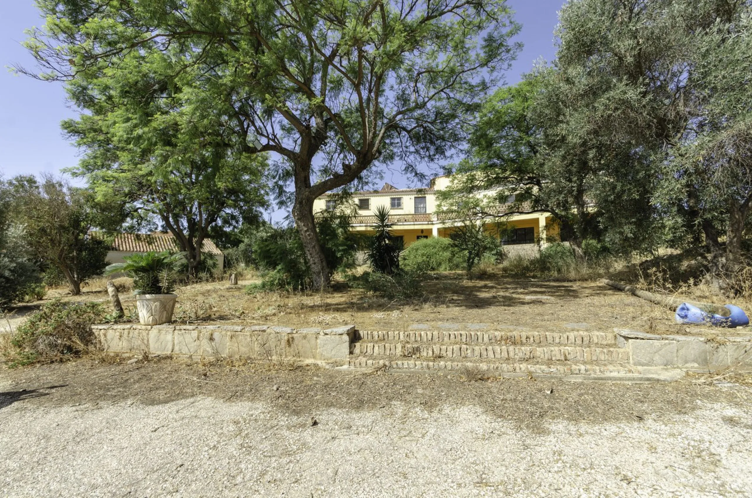 "Finca El Coronel", with an area of ​​64,735 m2, is located