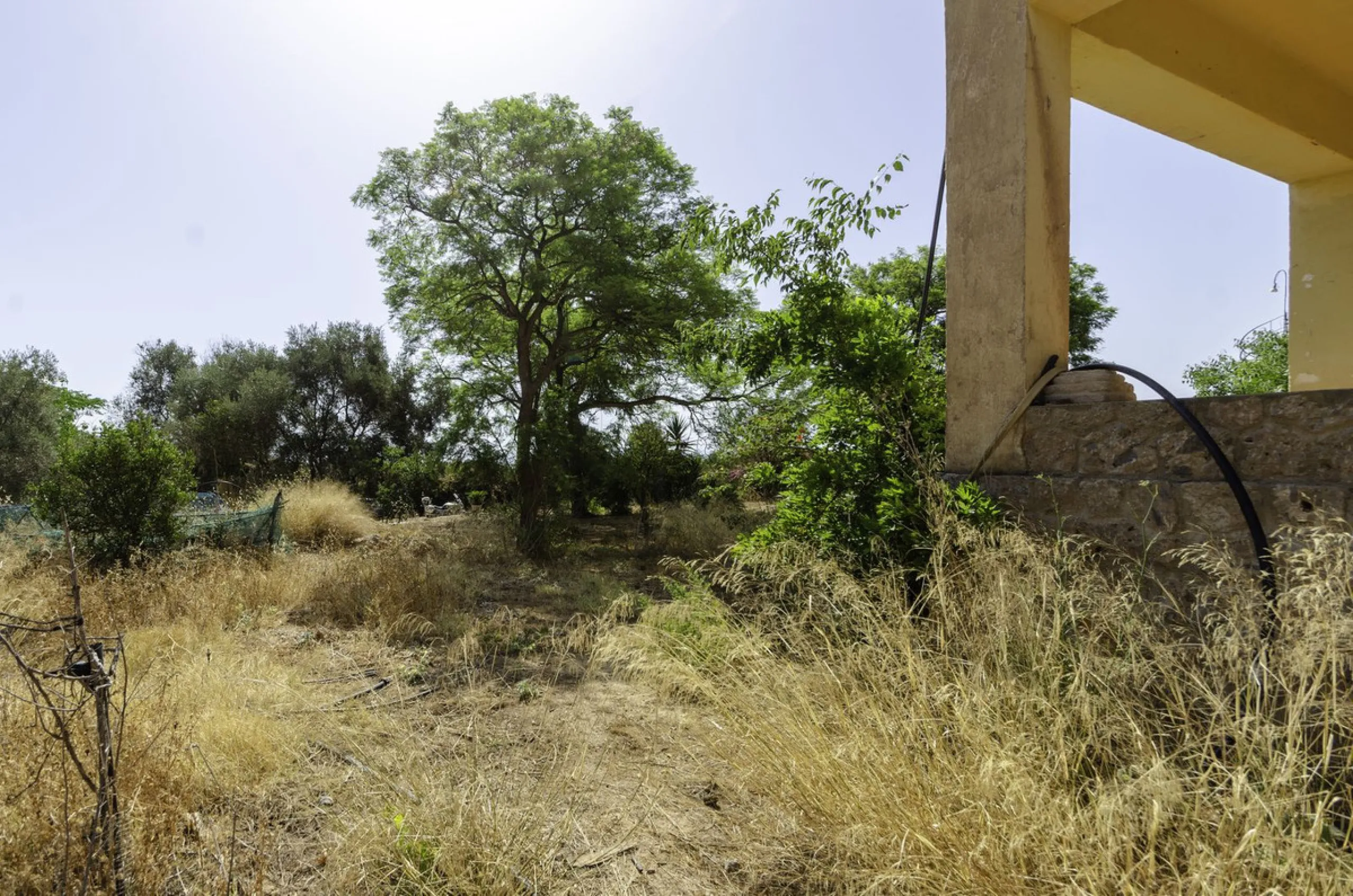 "Finca El Coronel", with an area of ​​64,735 m2, is located