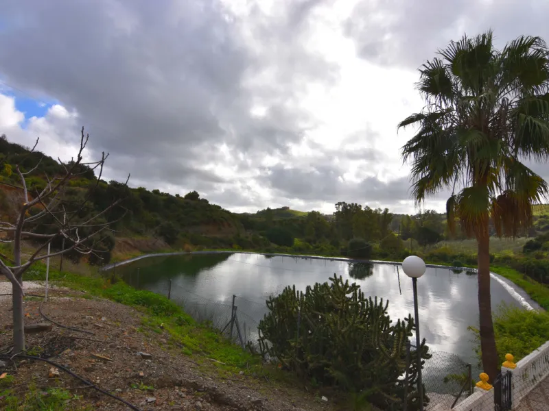 Large farm for sale in Mijas Costa 20 minutes from Marbella and 10 minutes from the center of Fuengirola.
