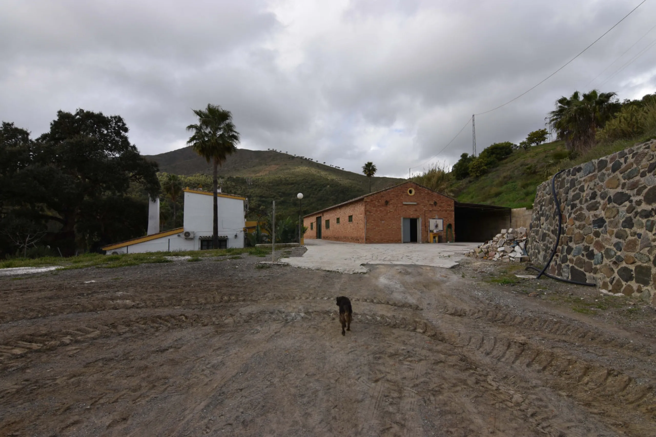 Large farm for sale in Mijas Costa 20 minutes from Marbella and 10 minutes from the center of Fuengirola.