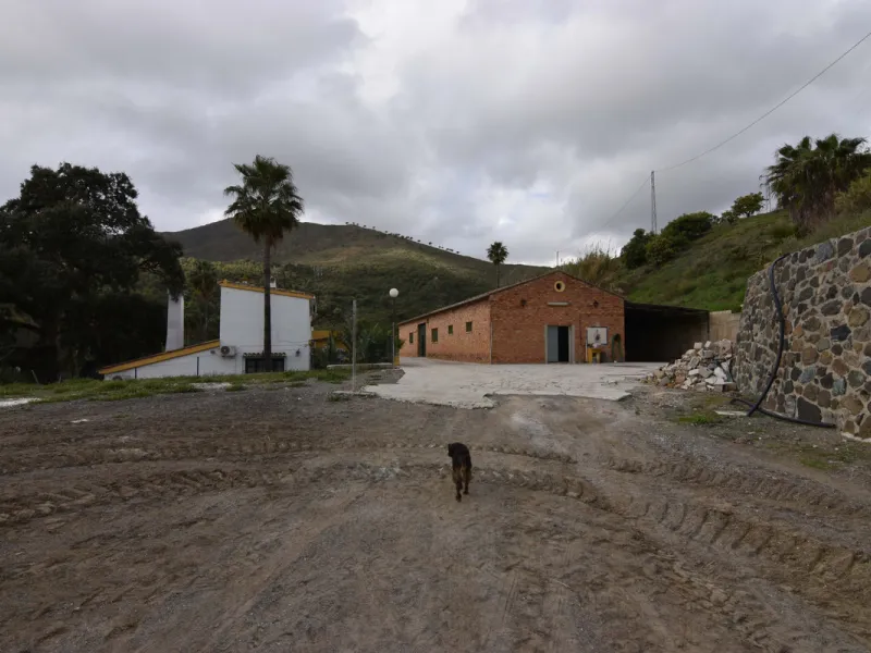 Large farm for sale in Mijas Costa 20 minutes from Marbella and 10 minutes from the center of Fuengirola.
