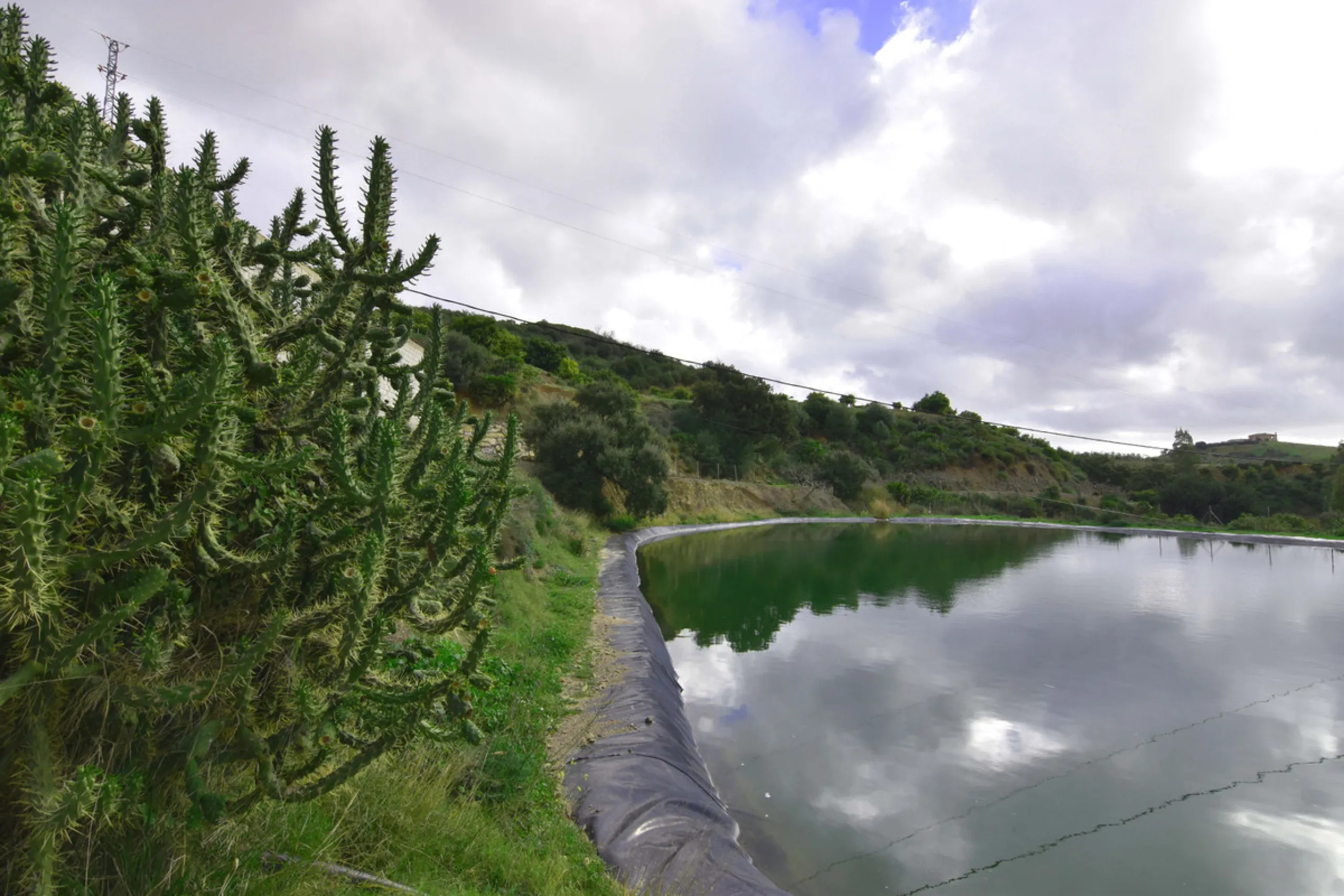 Large farm for sale in Mijas Costa 20 minutes from Marbella and 10 minutes from the center of Fuengirola.