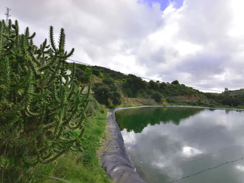 Large farm for sale in Mijas Costa 20 minutes from Marbella and 10 minutes from the center of Fuengirola.