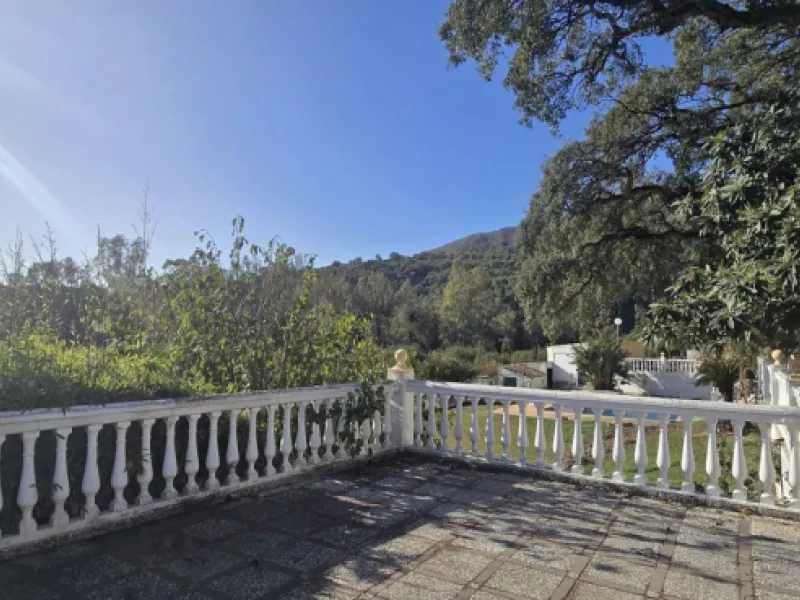 Large farm for sale in Mijas Costa 20 minutes from Marbella and 10 minutes from the center of Fuengirola.