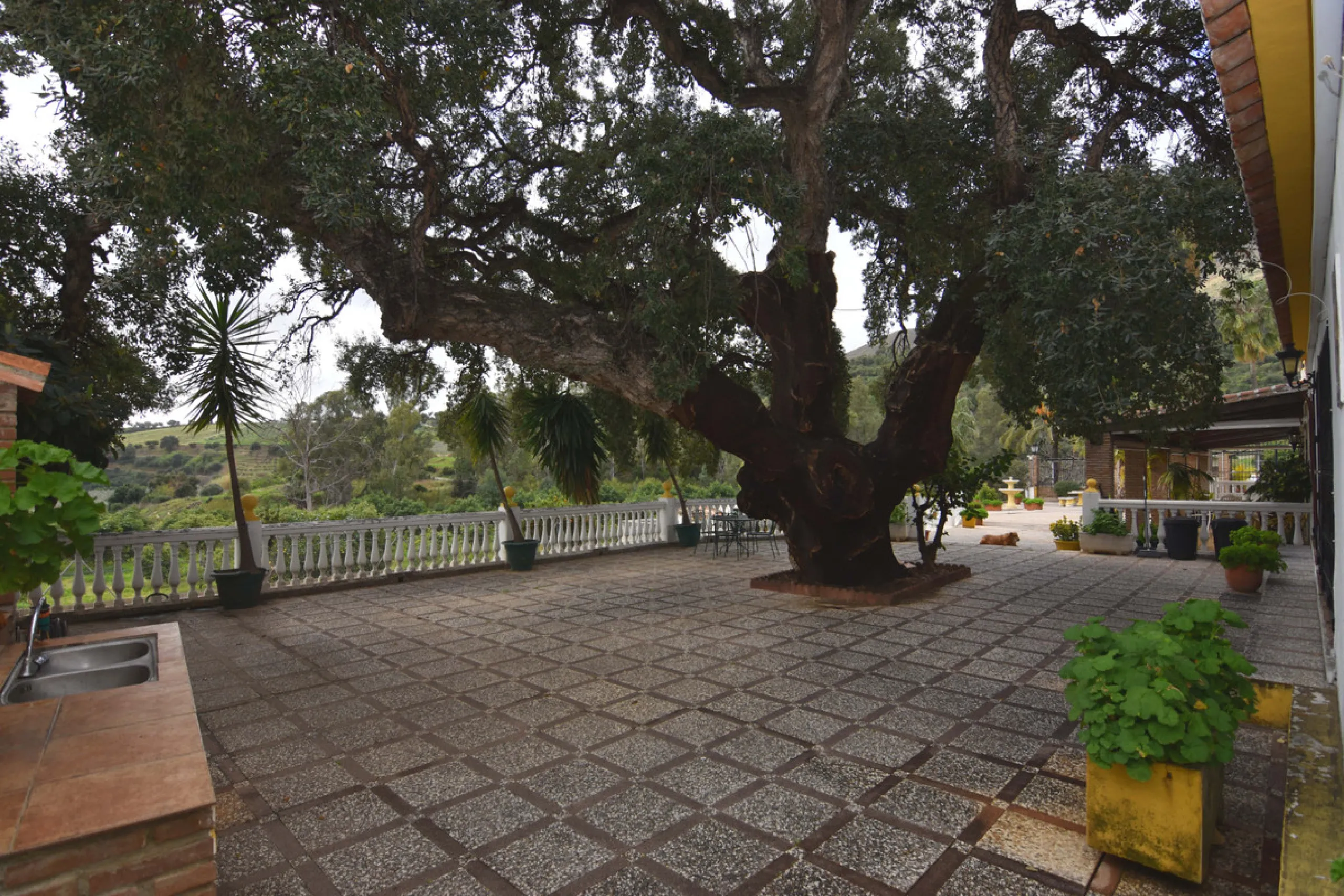 Large farm for sale in Mijas Costa 20 minutes from Marbella and 10 minutes from the center of Fuengirola.
