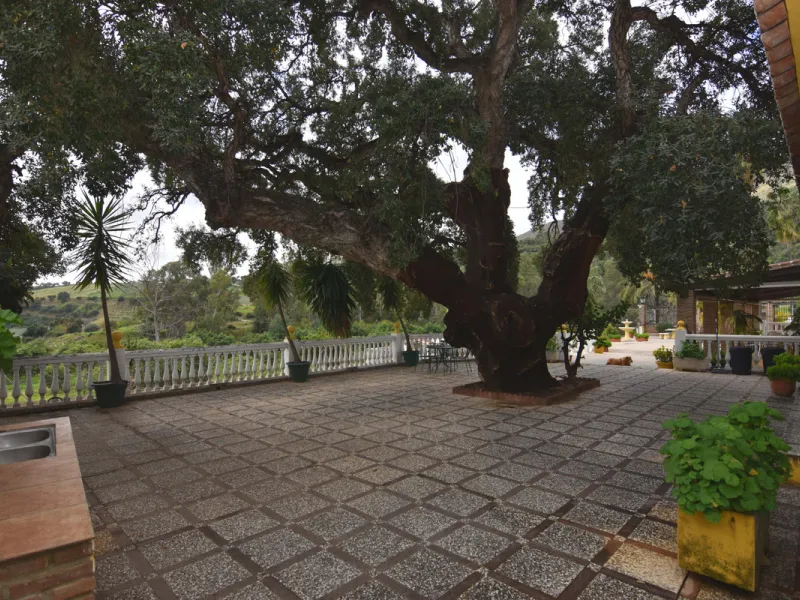 Large farm for sale in Mijas Costa 20 minutes from Marbella and 10 minutes from the center of Fuengirola.