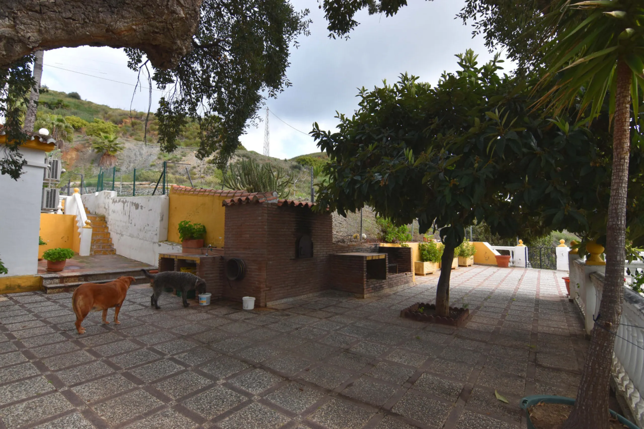 Large farm for sale in Mijas Costa 20 minutes from Marbella and 10 minutes from the center of Fuengirola.