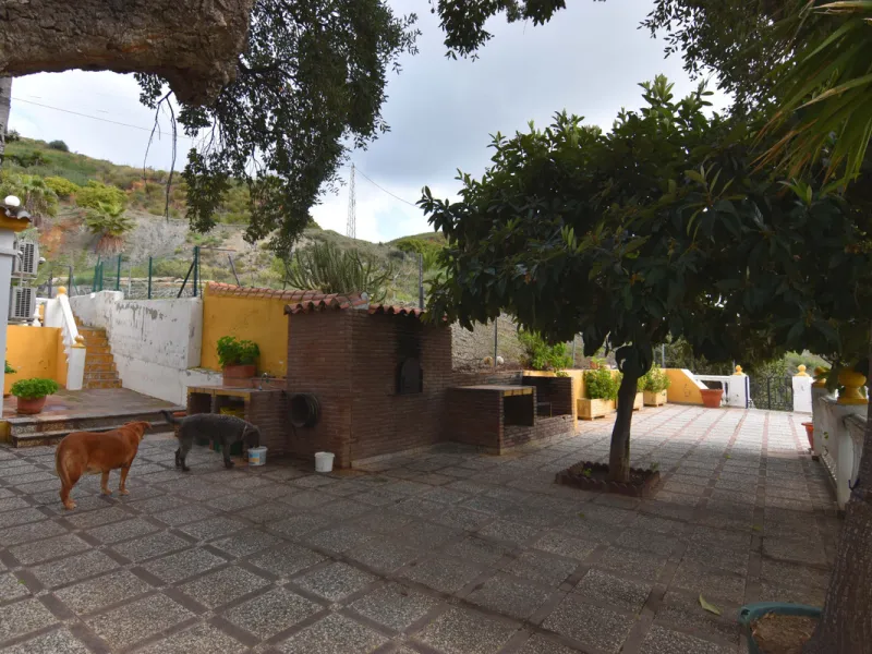 Large farm for sale in Mijas Costa 20 minutes from Marbella and 10 minutes from the center of Fuengirola.