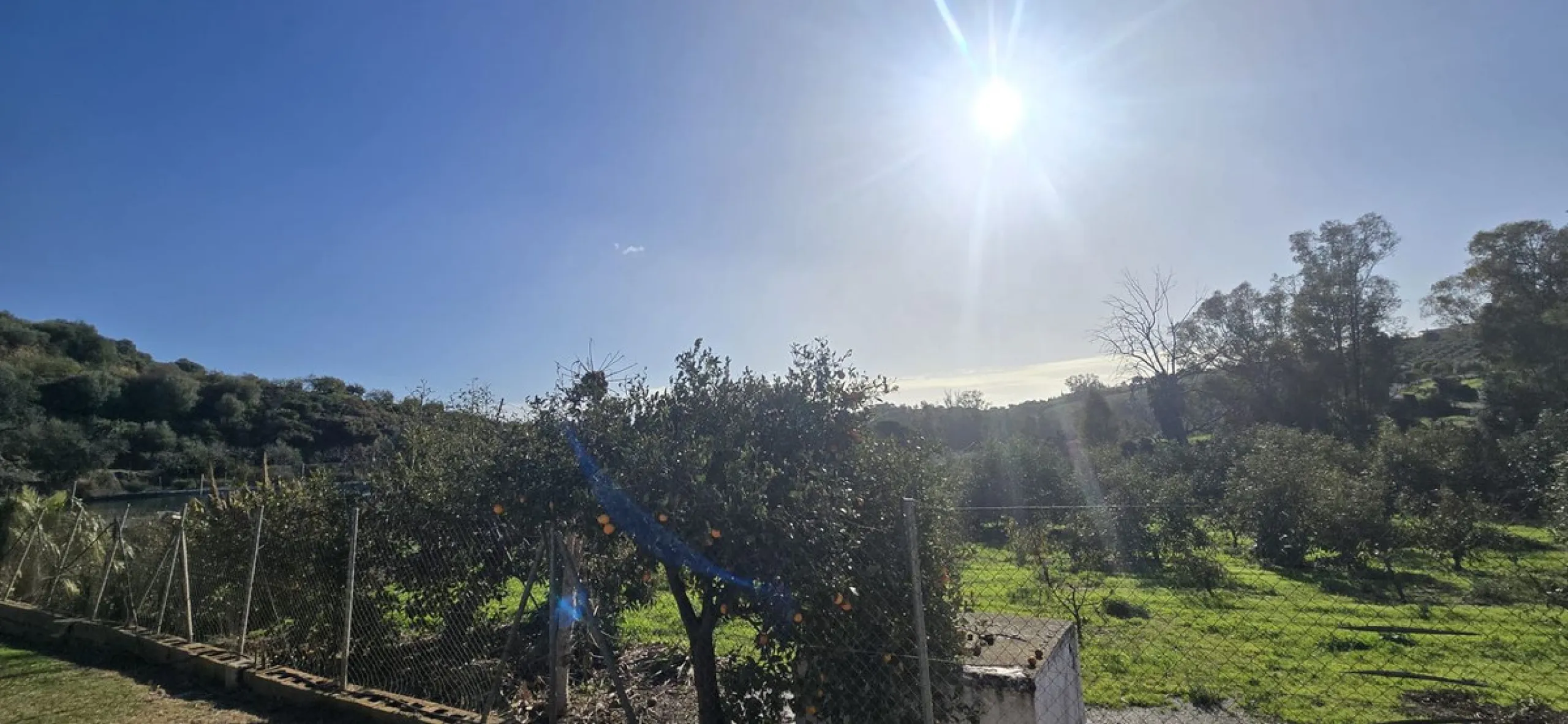 Large farm for sale in Mijas Costa 20 minutes from Marbella and 10 minutes from the center of Fuengirola.