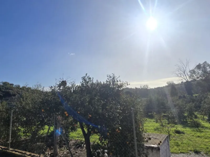 Large farm for sale in Mijas Costa 20 minutes from Marbella and 10 minutes from the center of Fuengirola.