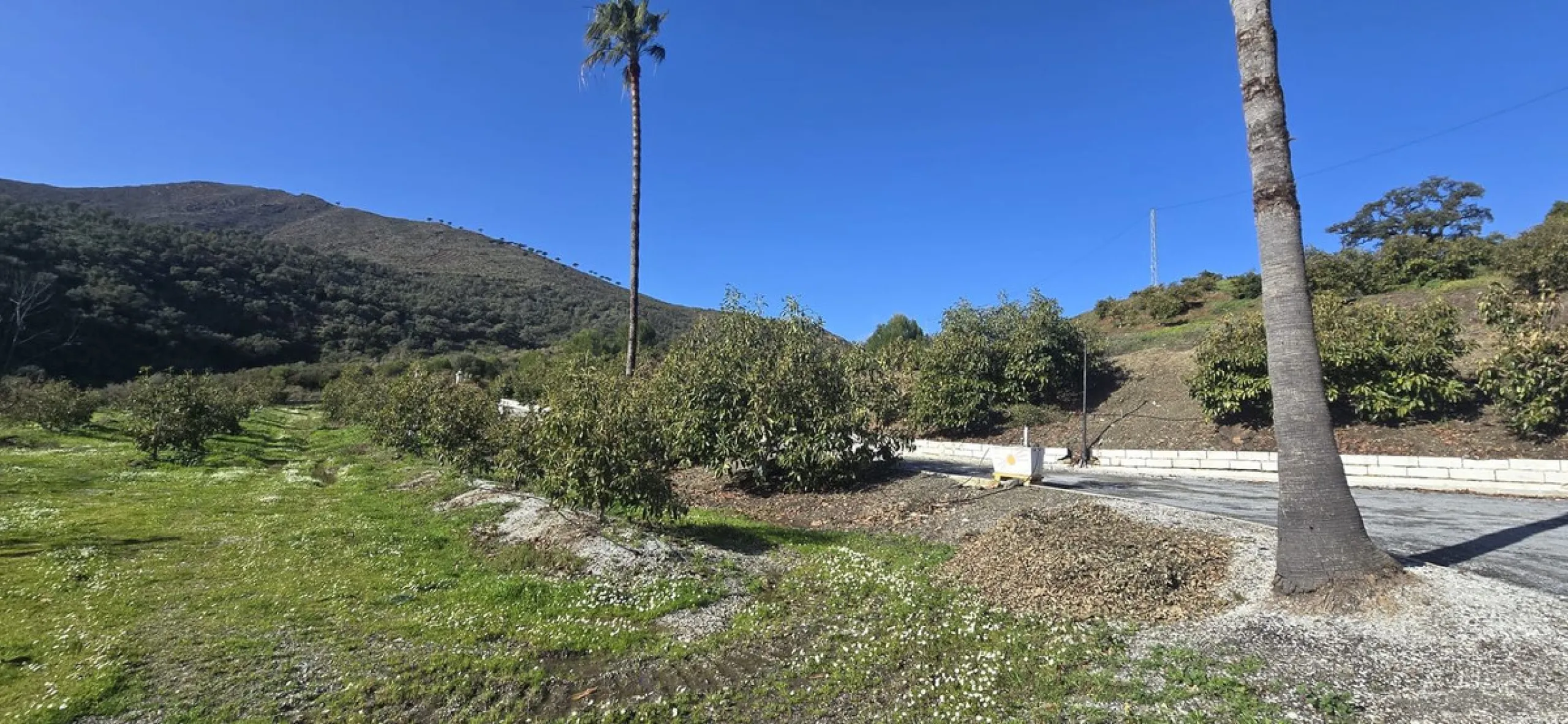 Large farm for sale in Mijas Costa 20 minutes from Marbella and 10 minutes from the center of Fuengirola.