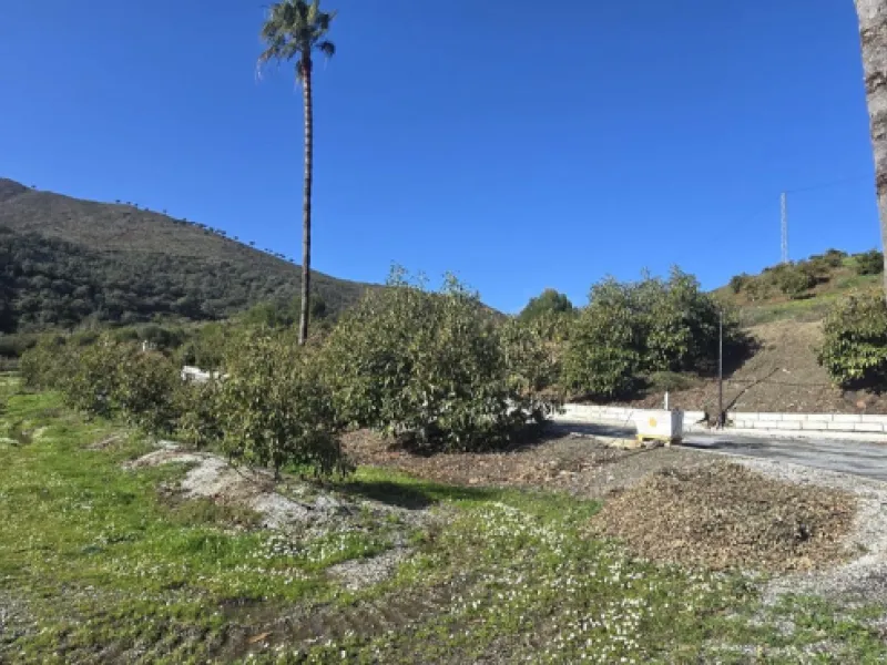 Large farm for sale in Mijas Costa 20 minutes from Marbella and 10 minutes from the center of Fuengirola.