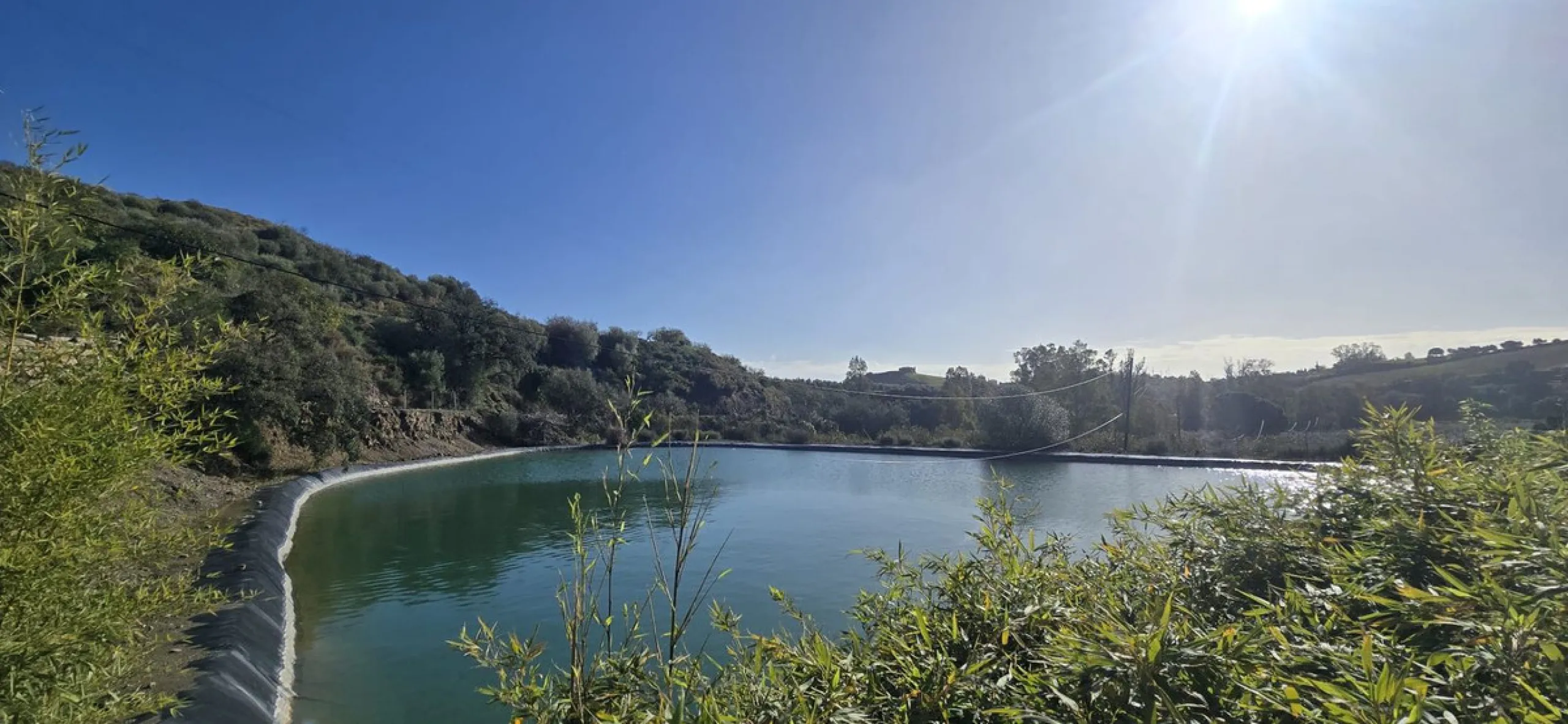 Large farm for sale in Mijas Costa 20 minutes from Marbella and 10 minutes from the center of Fuengirola.