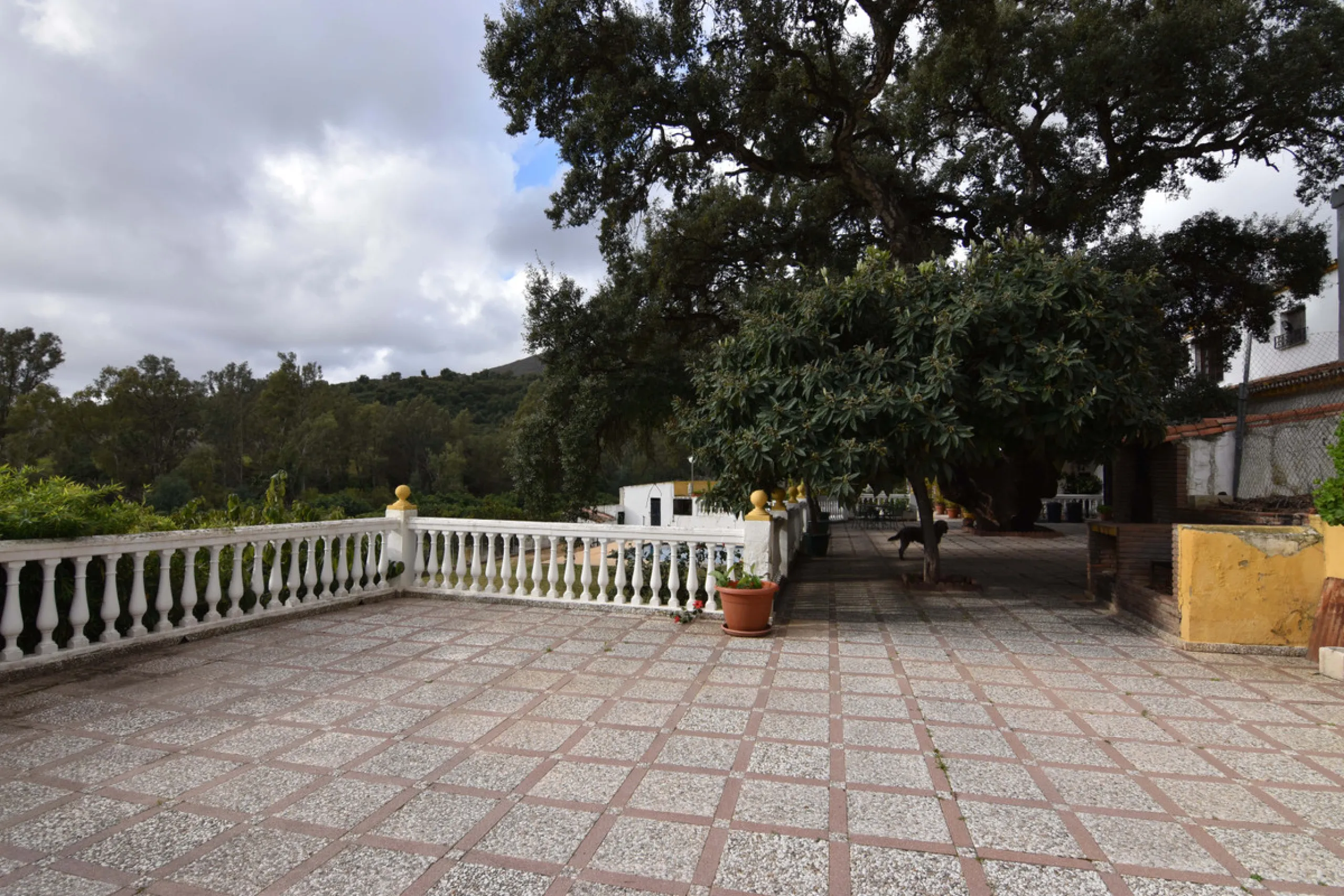 Large farm for sale in Mijas Costa 20 minutes from Marbella and 10 minutes from the center of Fuengirola.