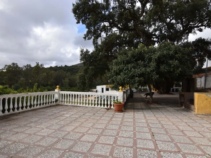 Large farm for sale in Mijas Costa 20 minutes from Marbella and 10 minutes from the center of Fuengirola.