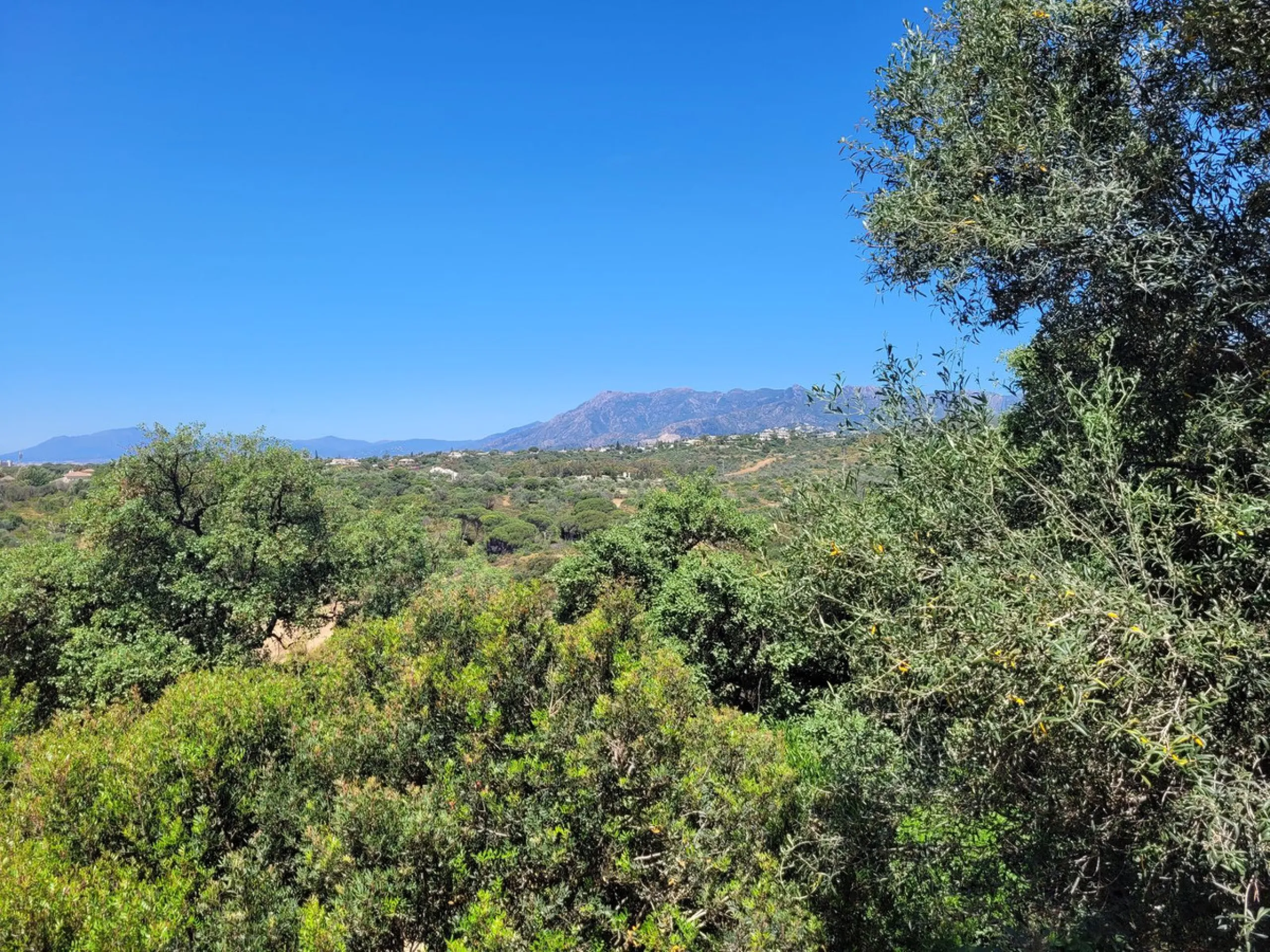 Residential building plot with sea & mountain views in Elviria. Quiet location. West facing. Could be built on with one villa. Buildability 25%.
