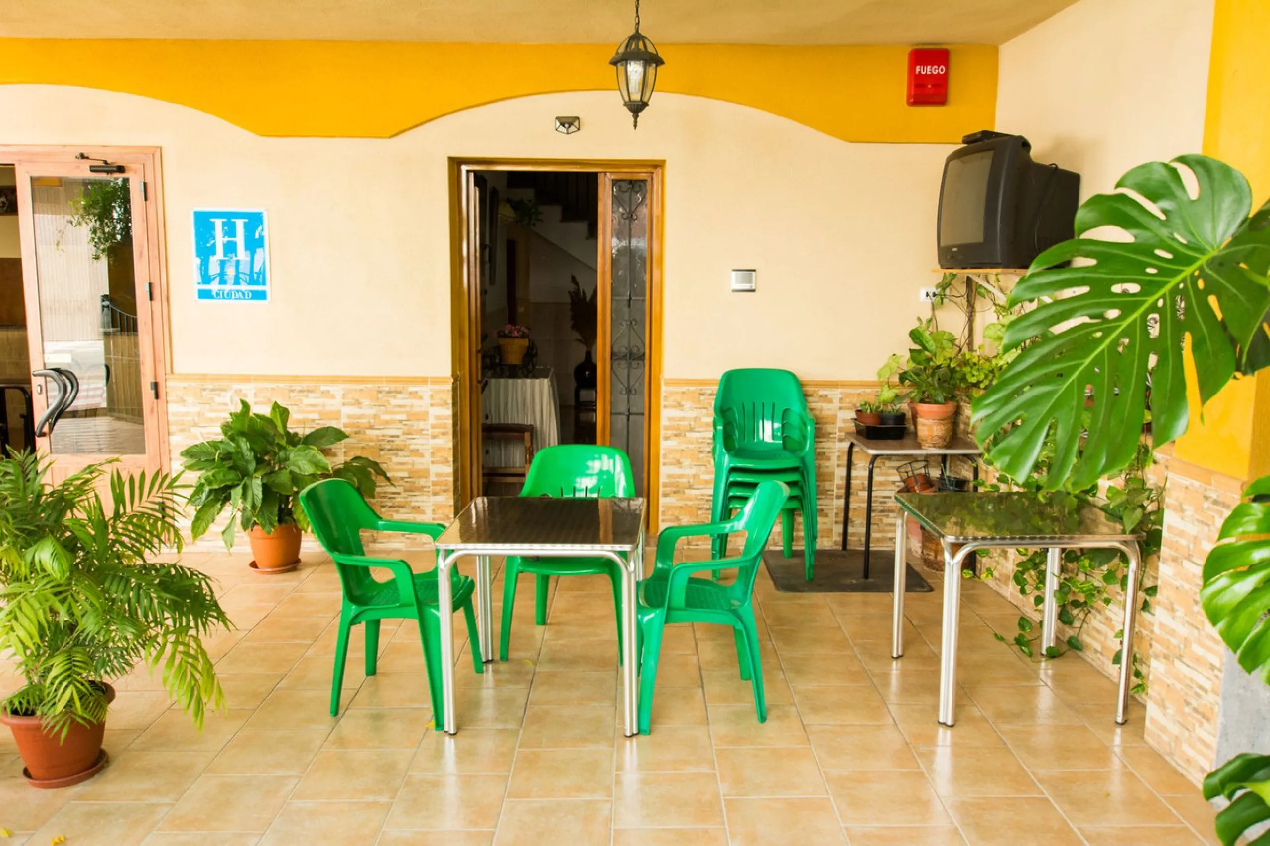 A completely renovated, ready-to-move-in hotel in the tourist town of Tolox. The hotel has 30 rooms: 3 family rooms, 23 doubles and 4 singles. The owners want to sell because of their retirement age and lack of succession.