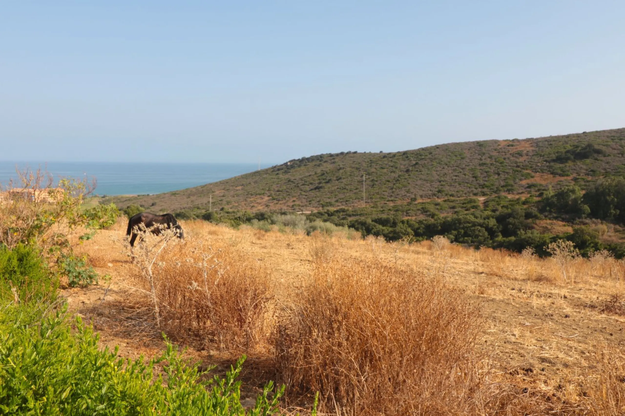 For sale Finca with house and 35664 m2 incredible with fantastic sea and mountain views!!!!