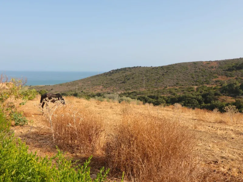 For sale Finca with house and 35664 m2 incredible with fantastic sea and mountain views!!!!