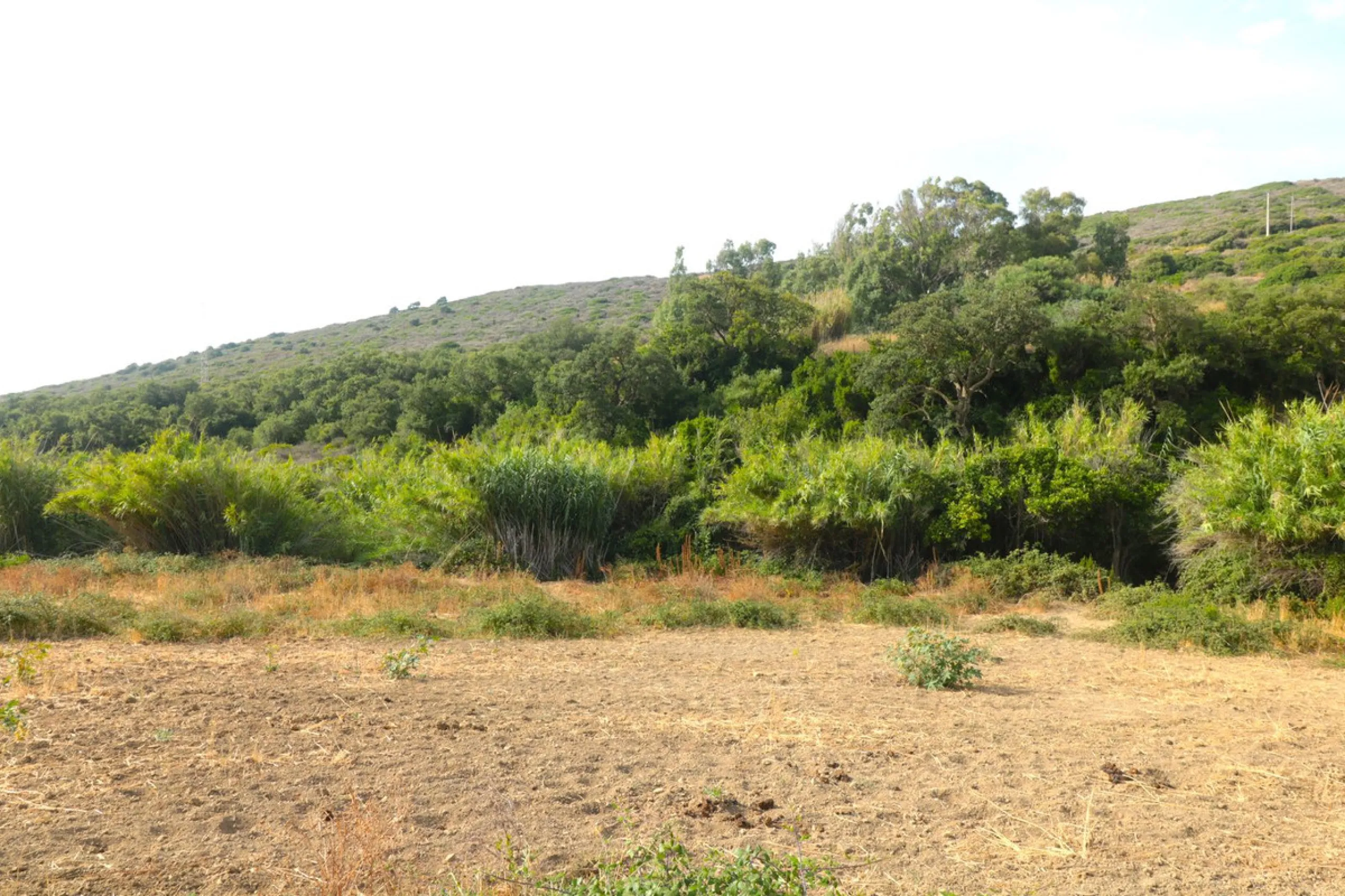 For sale Finca with house and 35664 m2 incredible with fantastic sea and mountain views!!!!