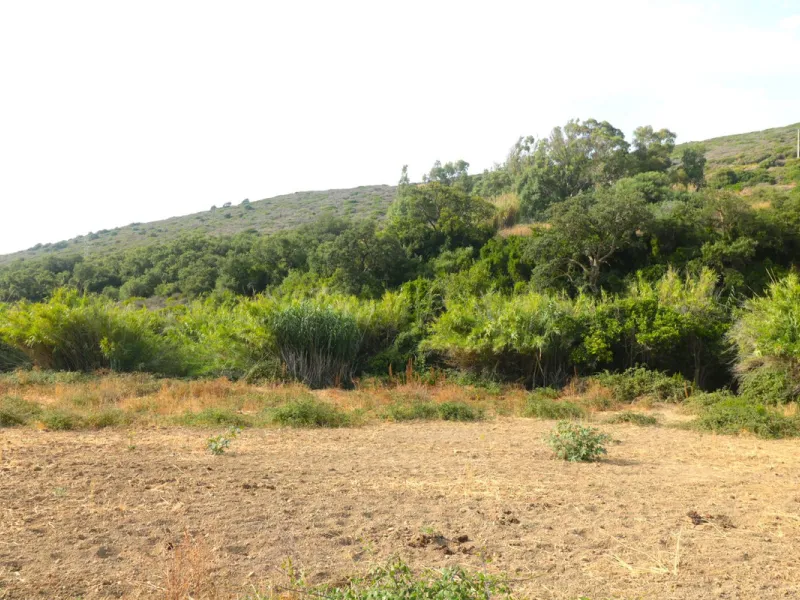 For sale Finca with house and 35664 m2 incredible with fantastic sea and mountain views!!!!
