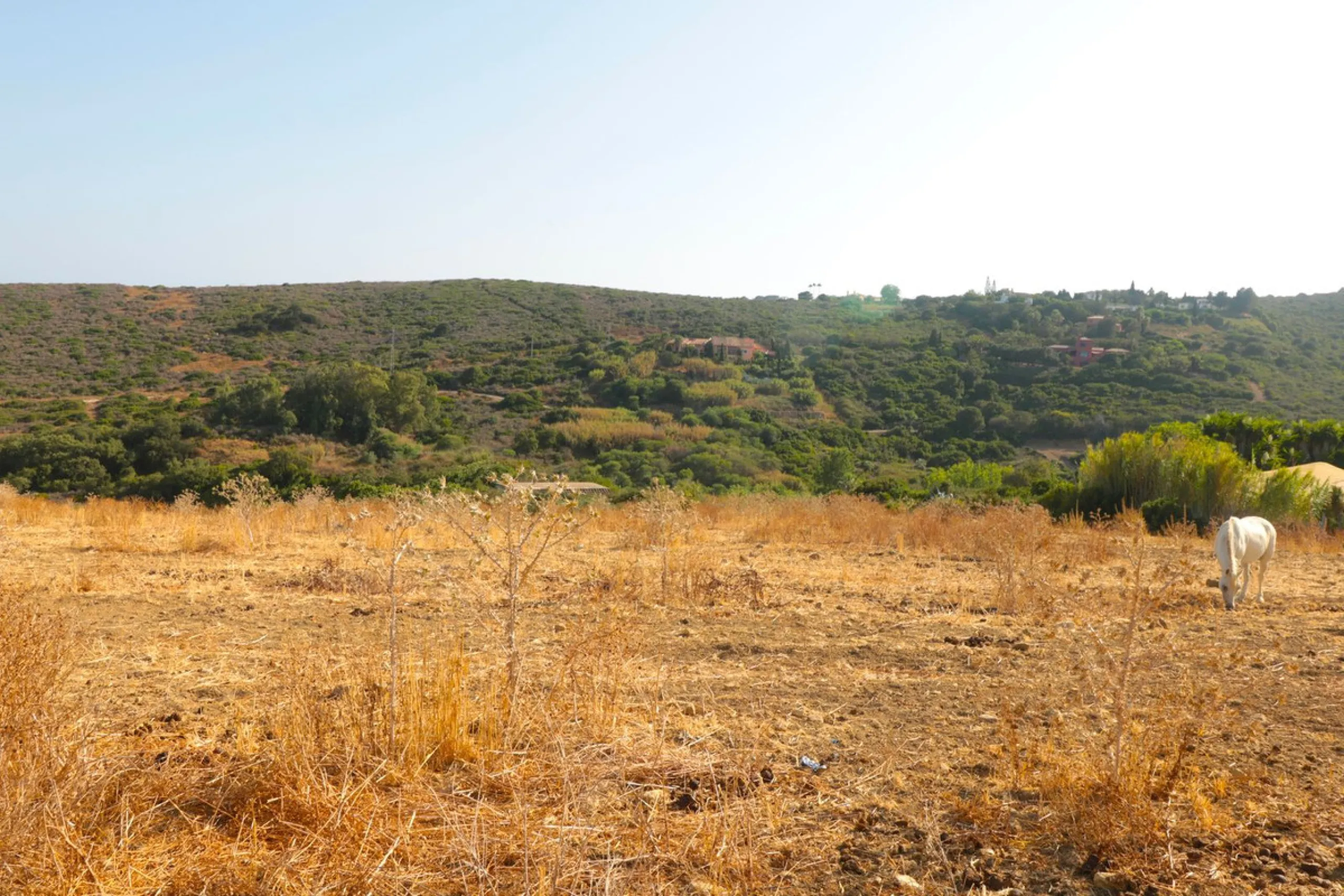 For sale Finca with house and 35664 m2 incredible with fantastic sea and mountain views!!!!