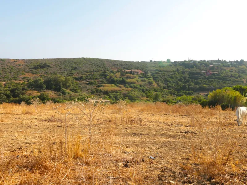 For sale Finca with house and 35664 m2 incredible with fantastic sea and mountain views!!!!