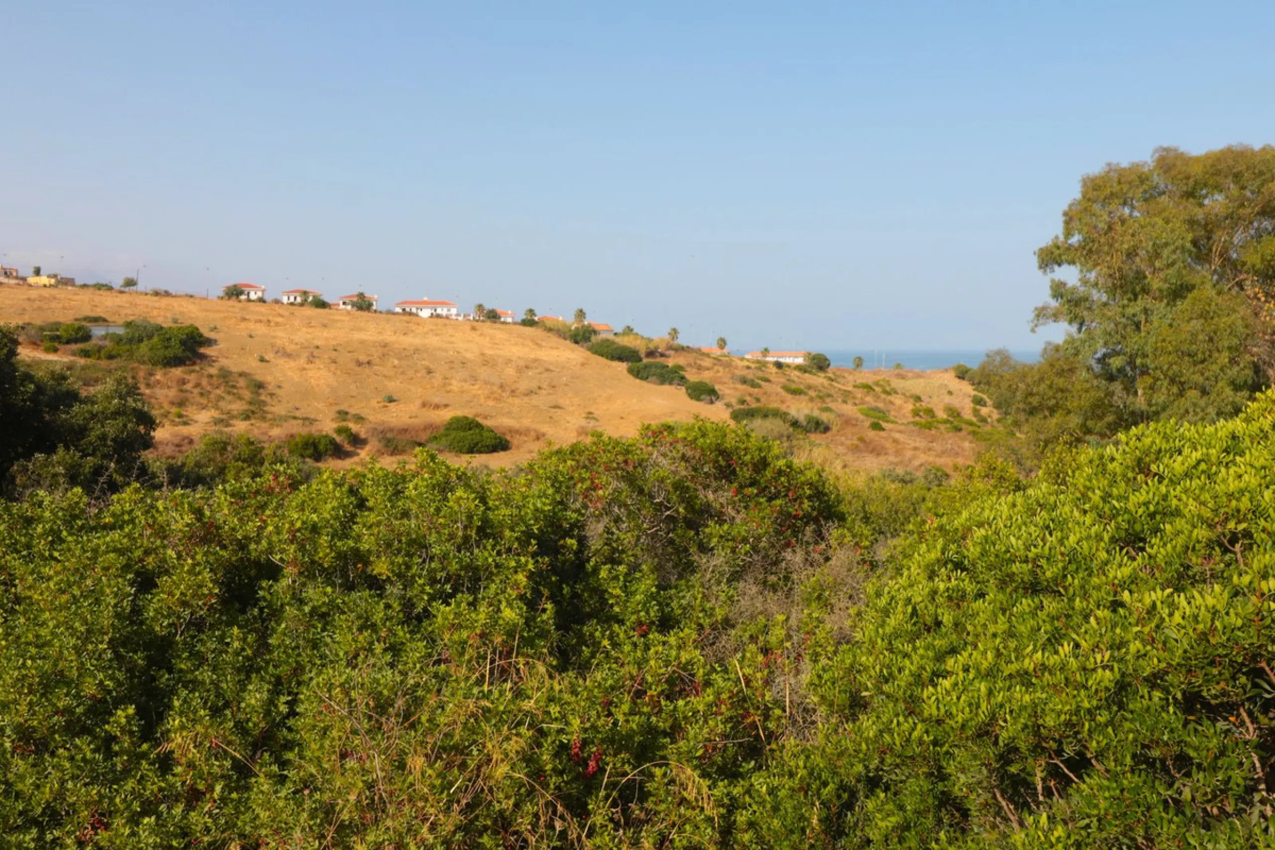 For sale Finca with house and 35664 m2 incredible with fantastic sea and mountain views!!!!