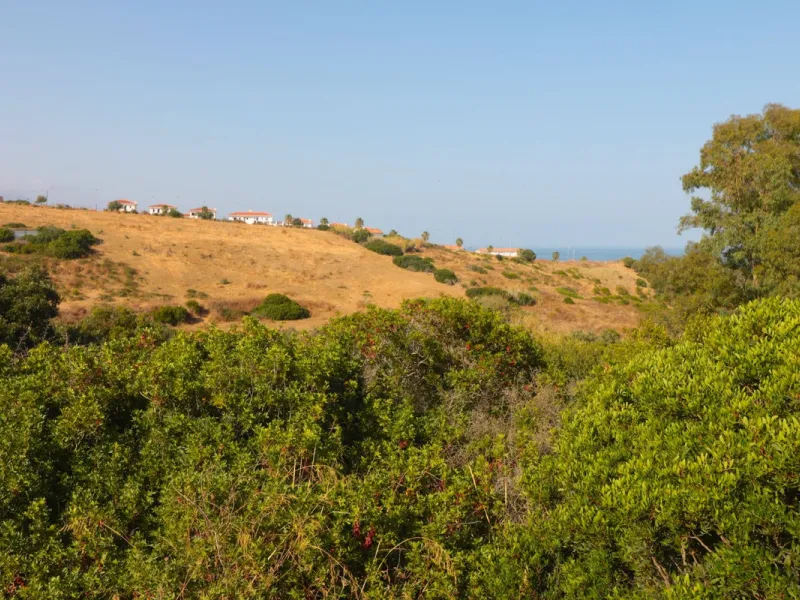 For sale Finca with house and 35664 m2 incredible with fantastic sea and mountain views!!!!