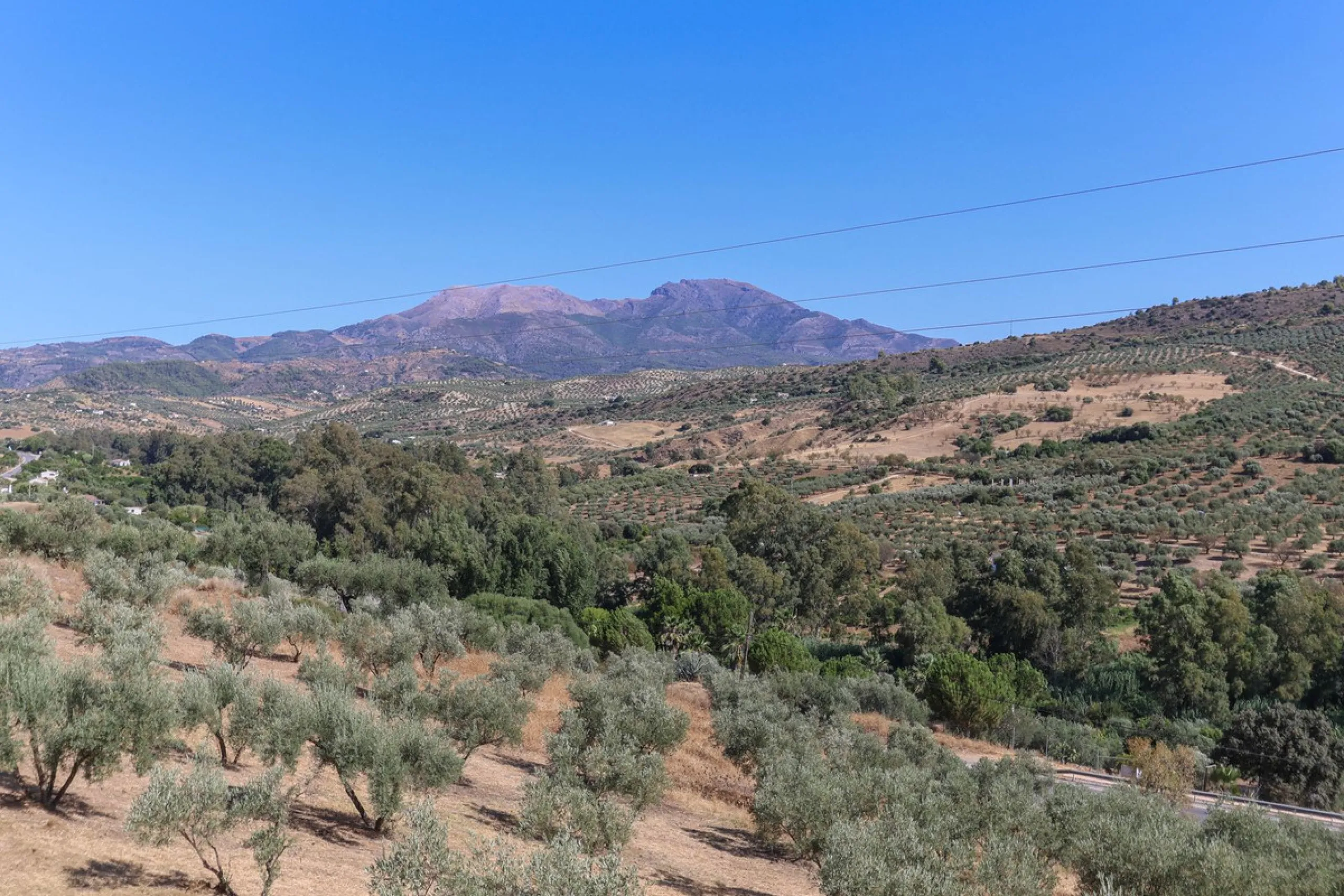 Charming country finca surrounded by usable land