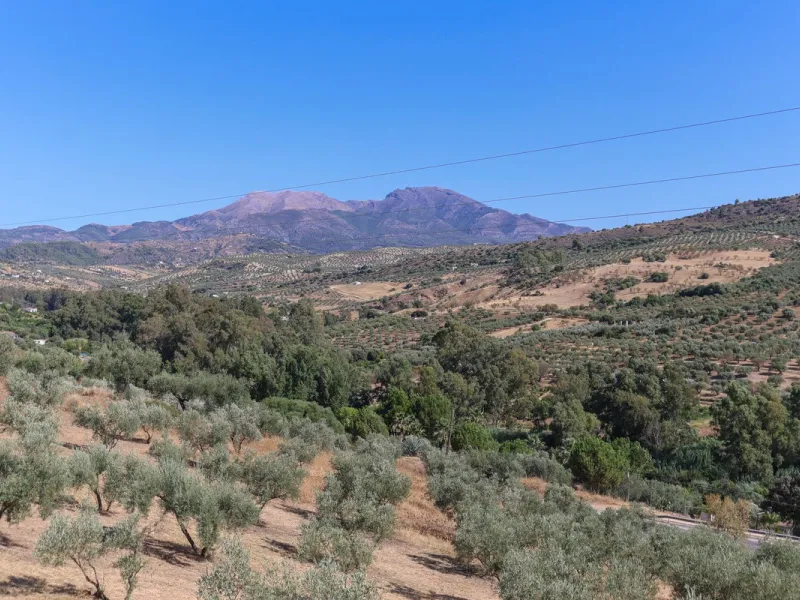 Charming country finca surrounded by usable land
