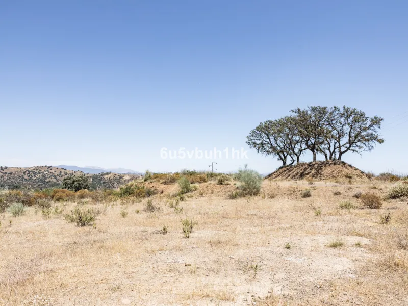 Plot - Land в продаже в Coín, Málaga. Площадь участка 79953 м²