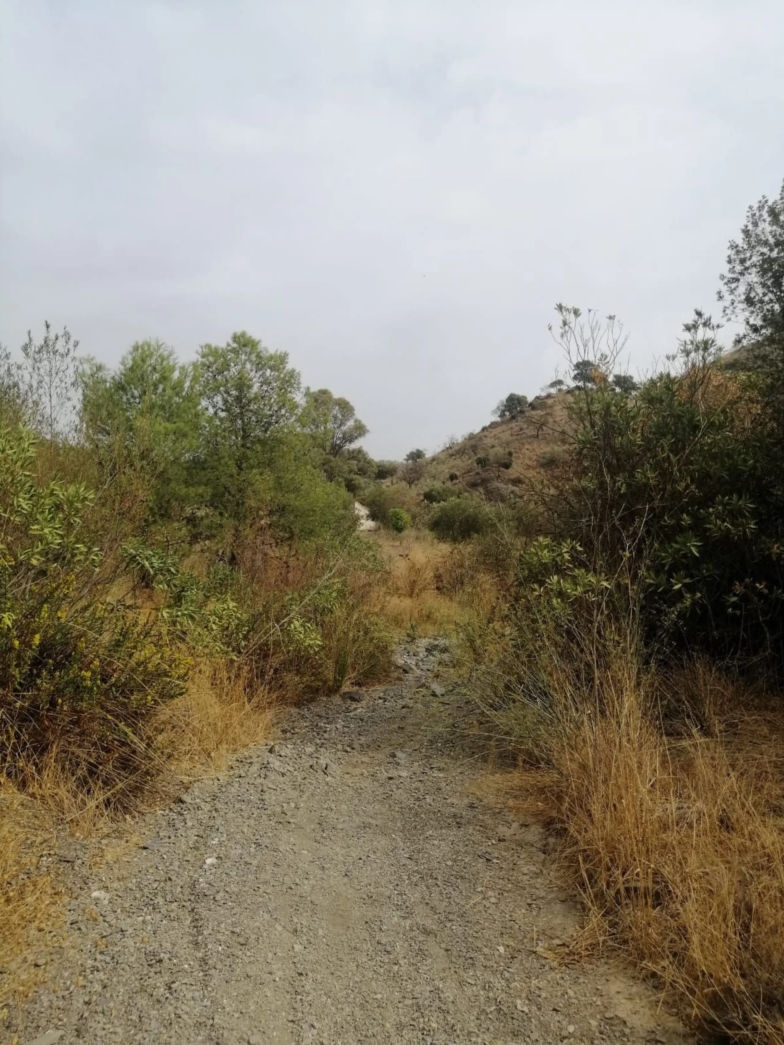 Plot - Commercial Plot в продаже в Cártama, Málaga. Площадь участка 2000000 м²