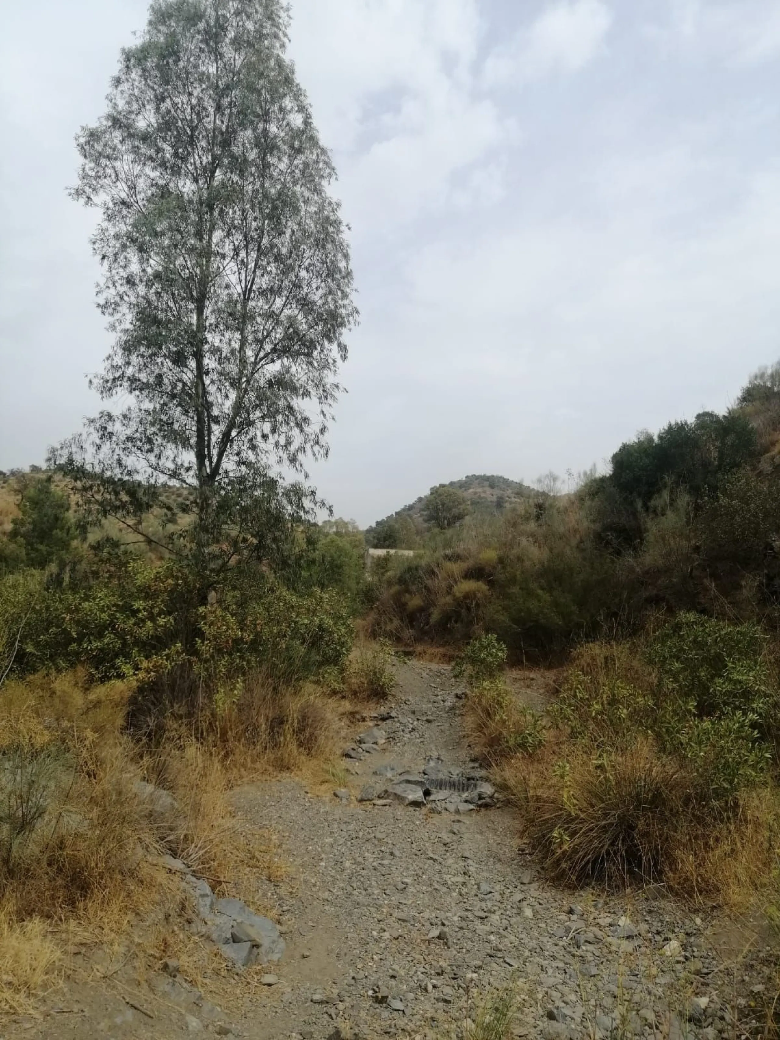 Plot - Commercial Plot в продаже в Cártama, Málaga. Площадь участка 2000000 м²