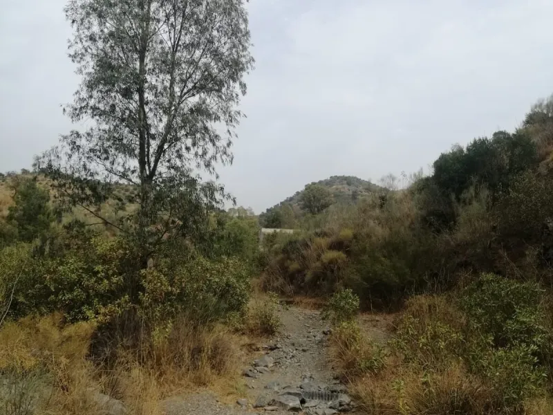 Plot - Commercial Plot в продаже в Cártama, Málaga. Площадь участка 2000000 м²