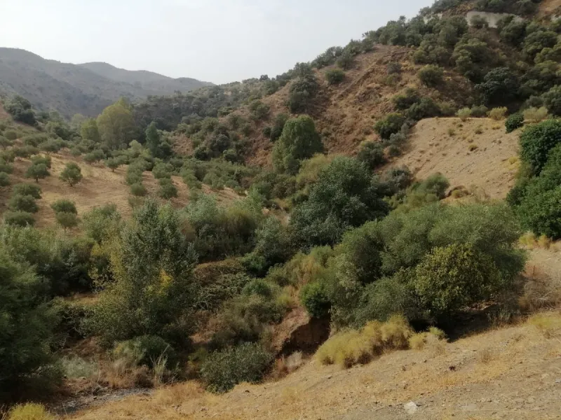 Plot - Commercial Plot в продаже в Cártama, Málaga. Площадь участка 2000000 м²