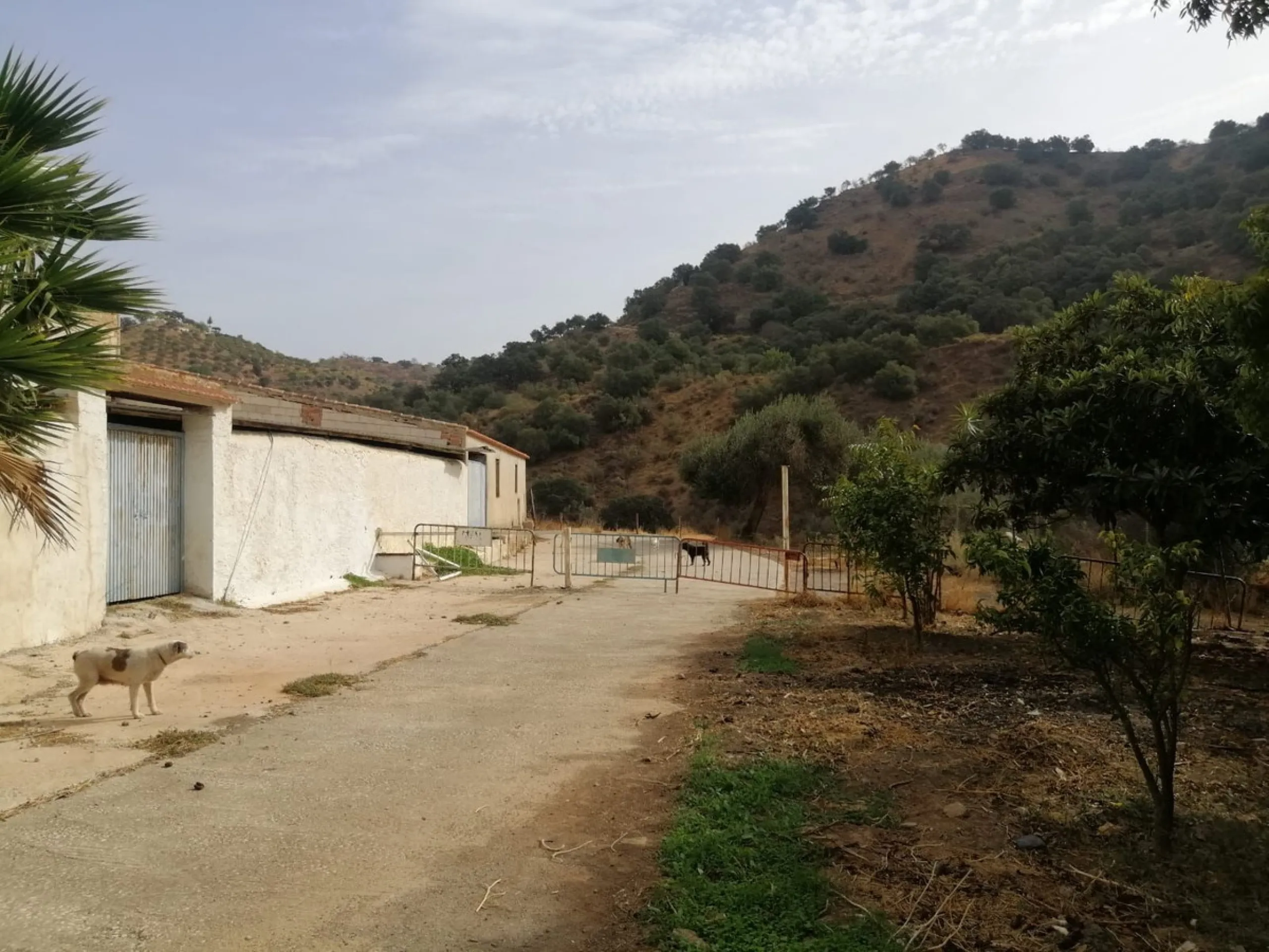 Plot - Commercial Plot в продаже в Cártama, Málaga. Площадь участка 2000000 м²