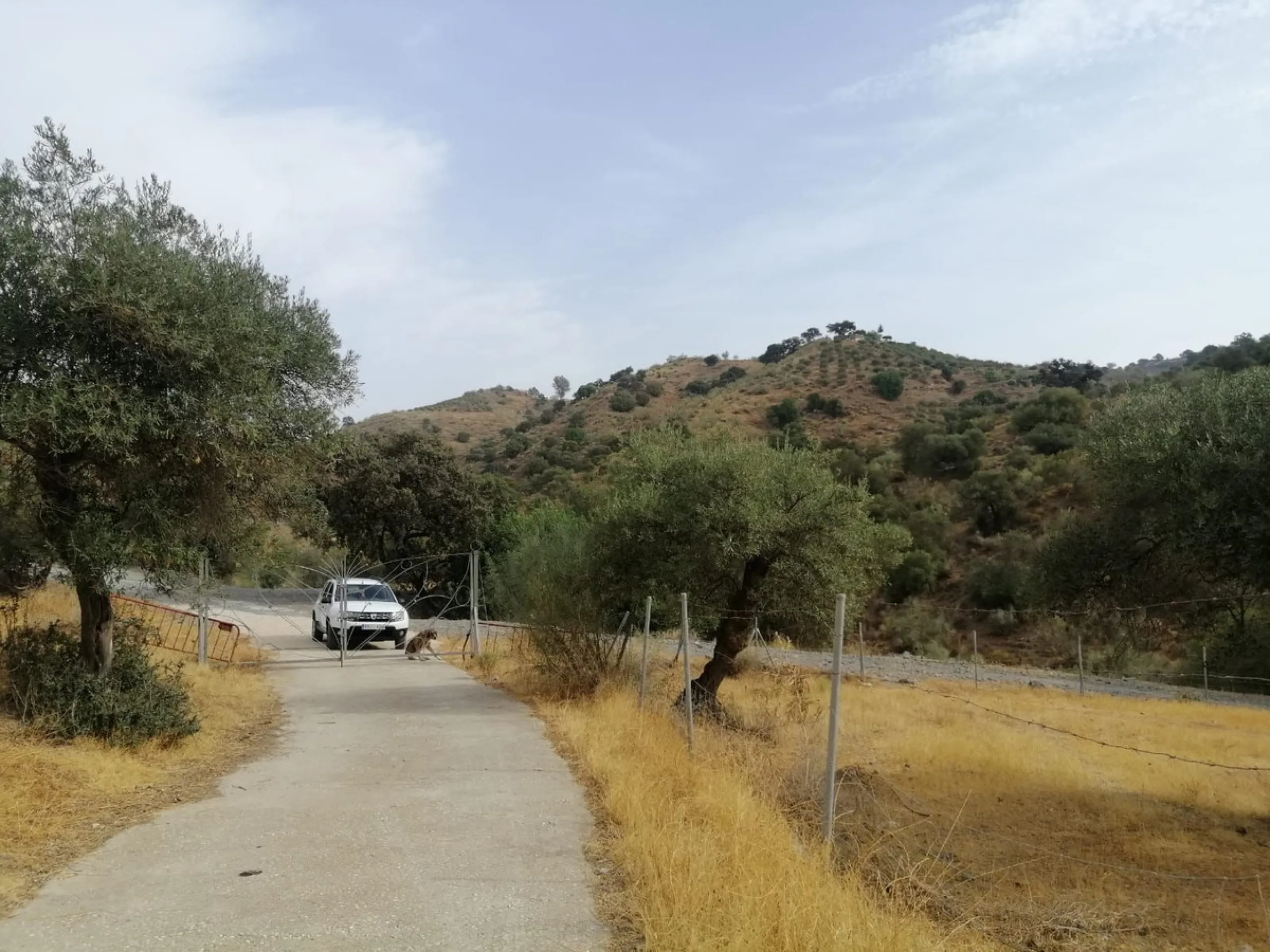 Plot - Commercial Plot в продаже в Cártama, Málaga. Площадь участка 2000000 м²